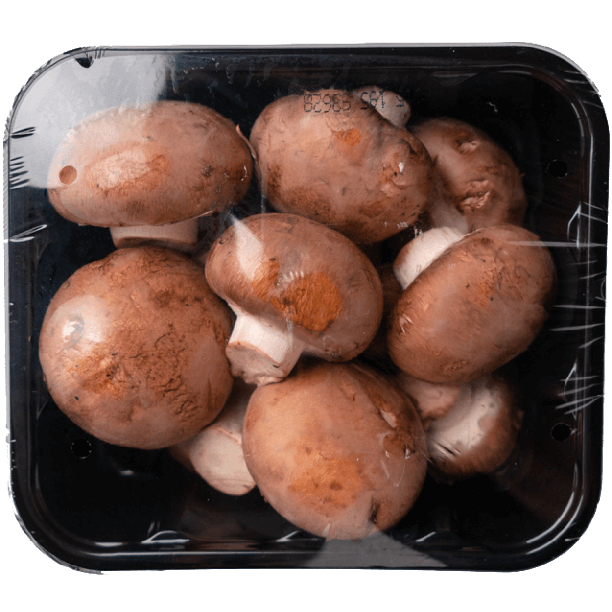 Baby Bella Mushrooms 2 of 2