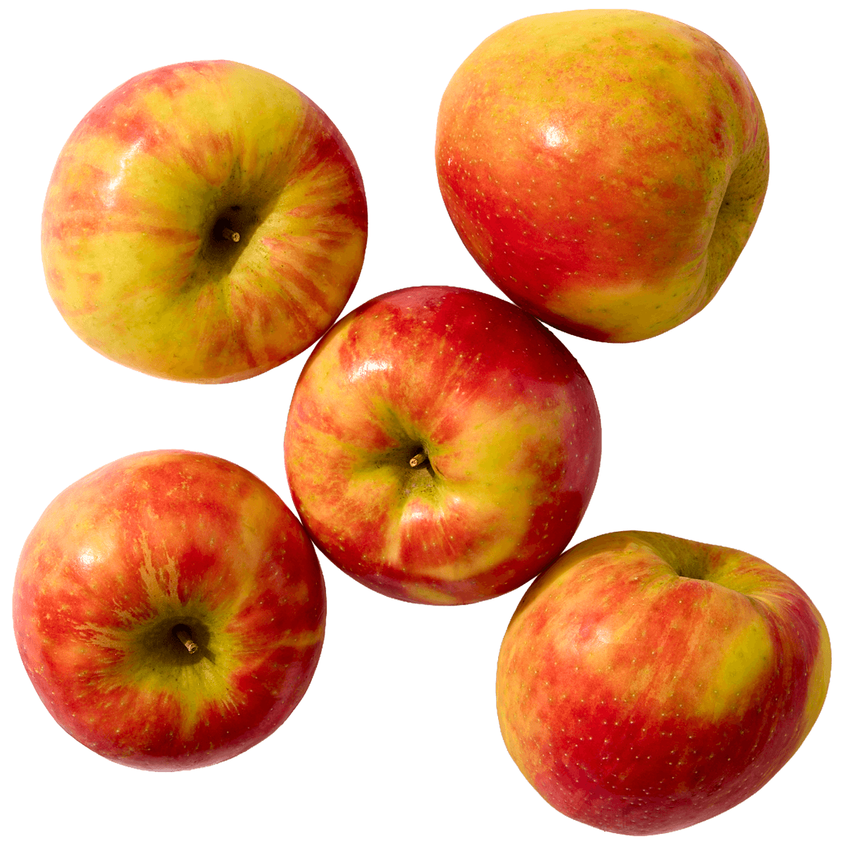 Organic Honeycrisp Apples 2 of 2