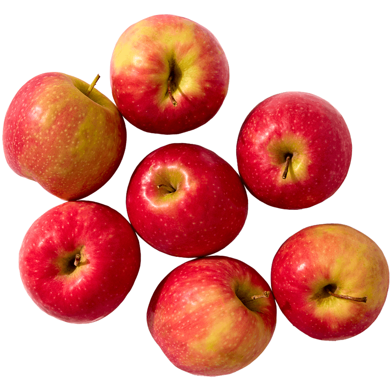 food-img