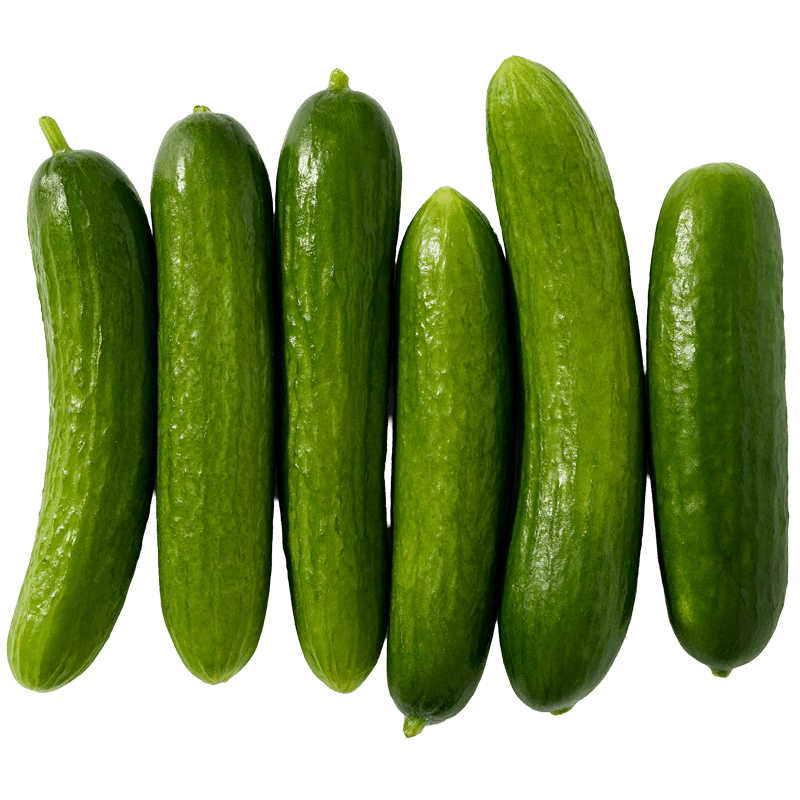 food-img