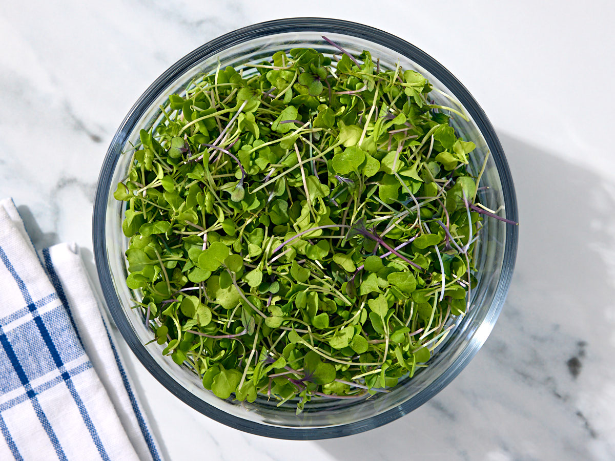 Organic Gourmet Mix Microgreens 1 of 2