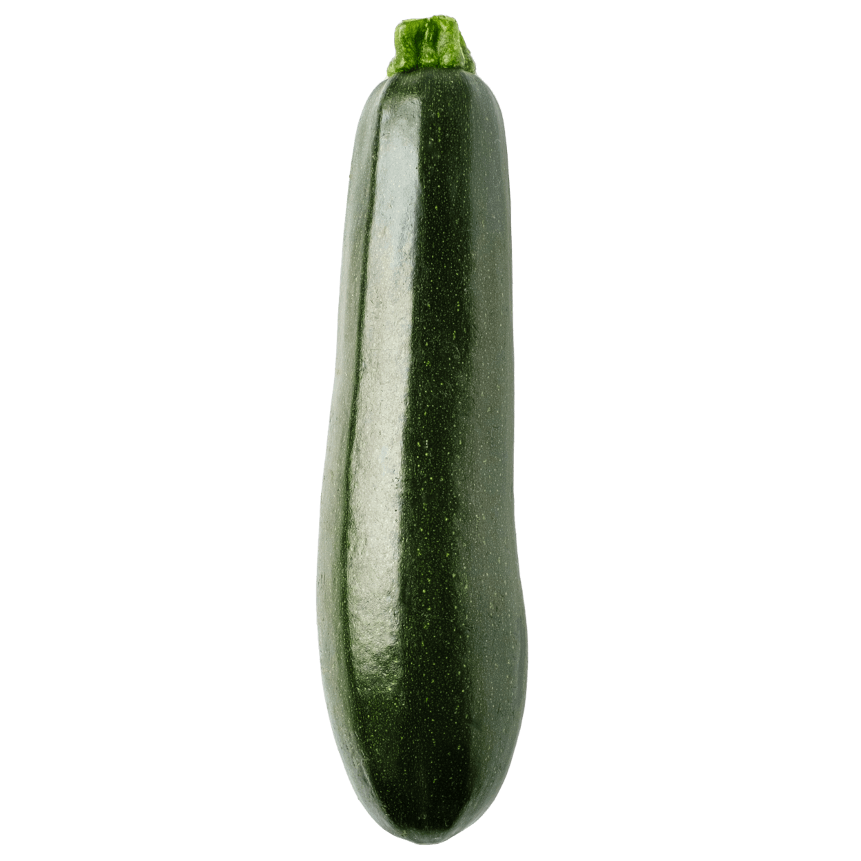 Fresh Zucchini 2 of 2