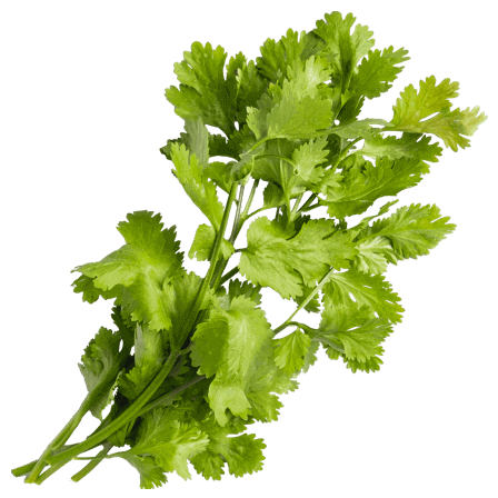 food-img