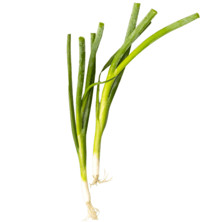 food-img