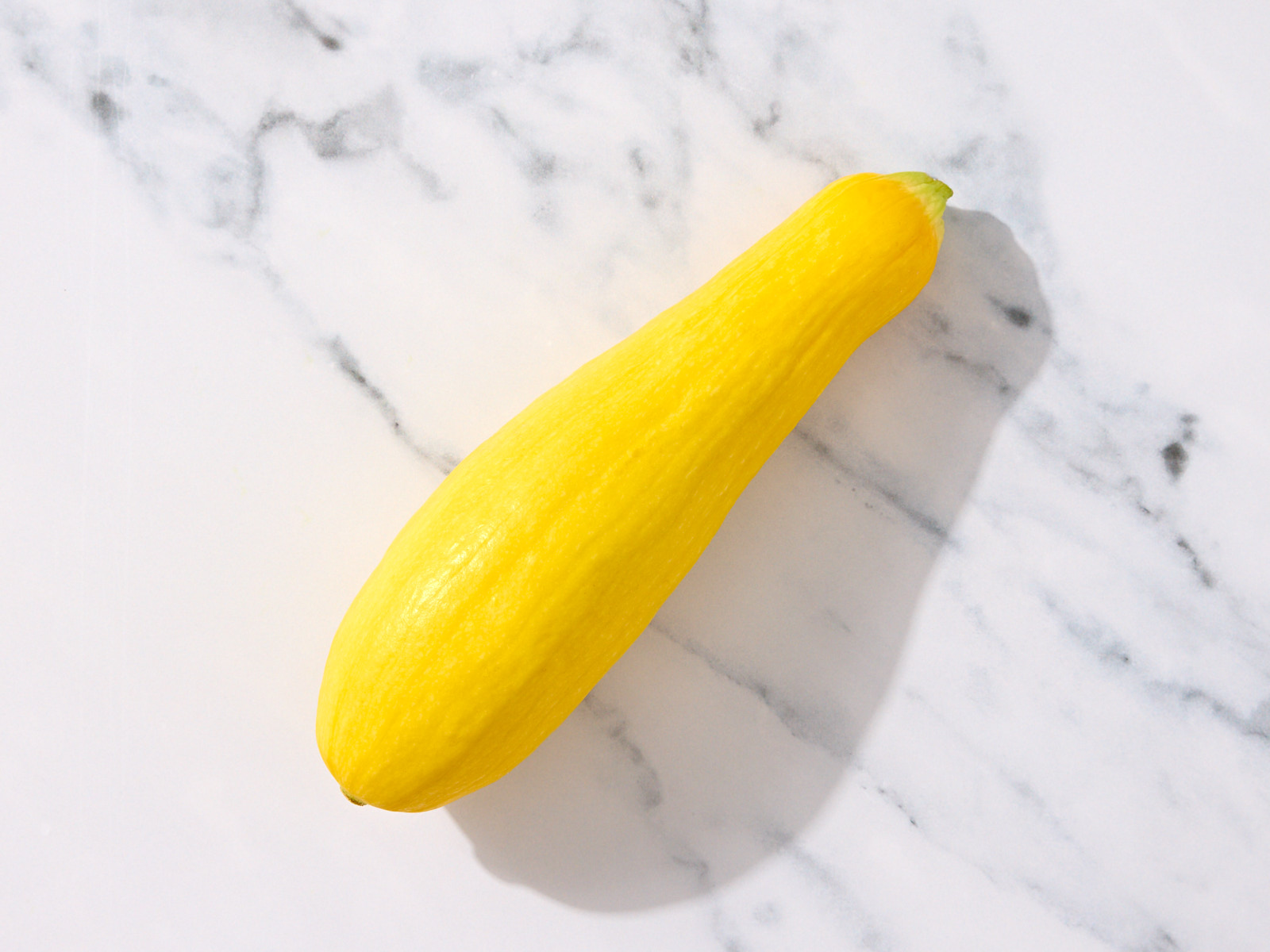 Yellow Squash 1 of 2