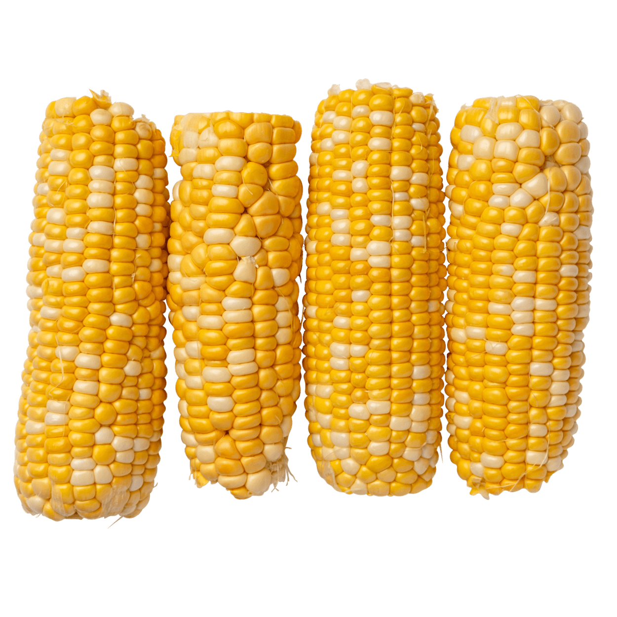 Sweet Bicolor Corn 2 of 2