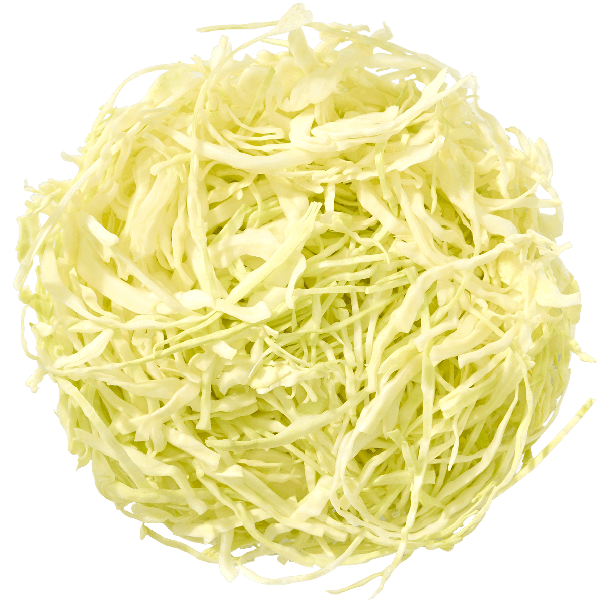Shredded Green Cabbage 2 of 2