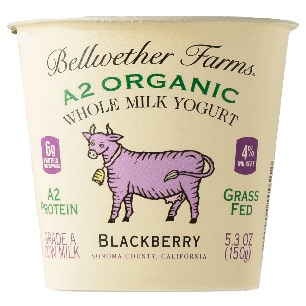 Organic Blackberry Yogurt Cup 2 of 2