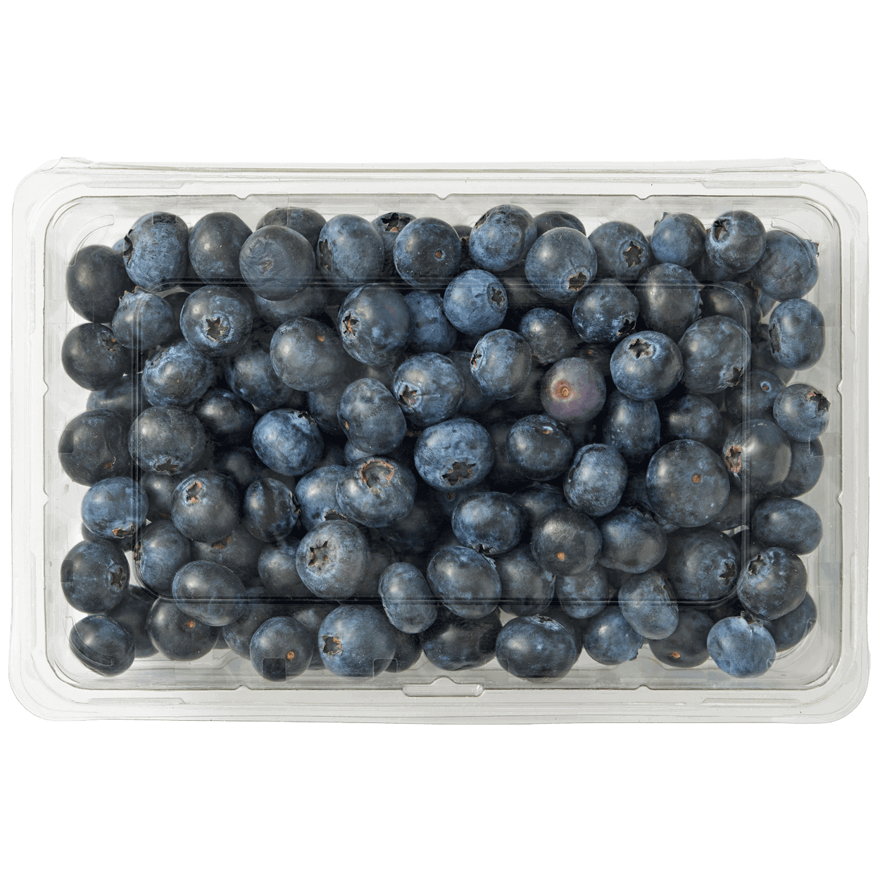 Fresh Blueberries 2 of 2