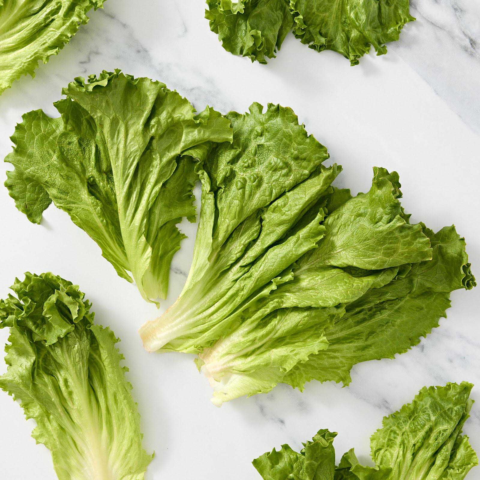 Whole Green Leaf Lettuce 1 of 2