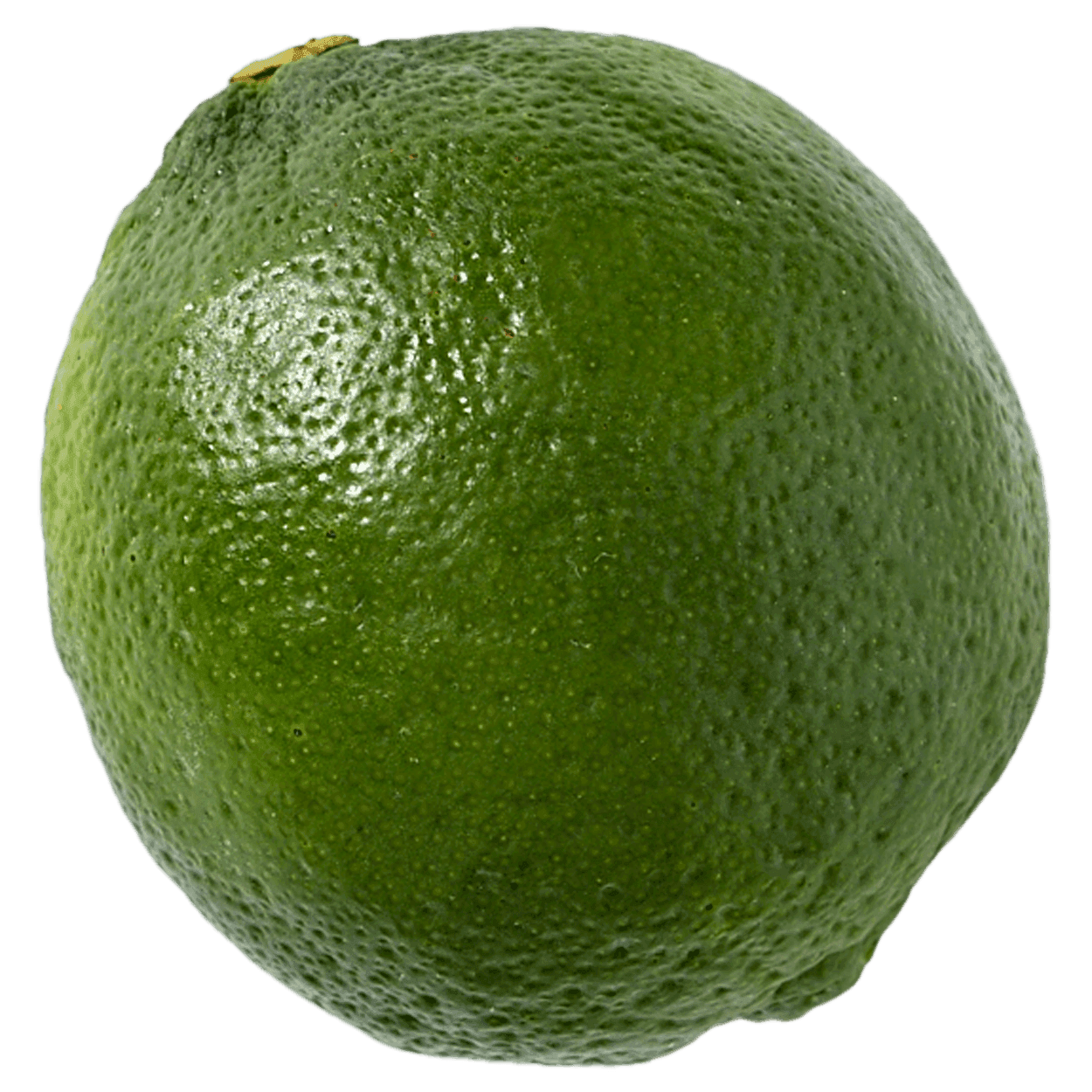 Organic Lime 2 of 2