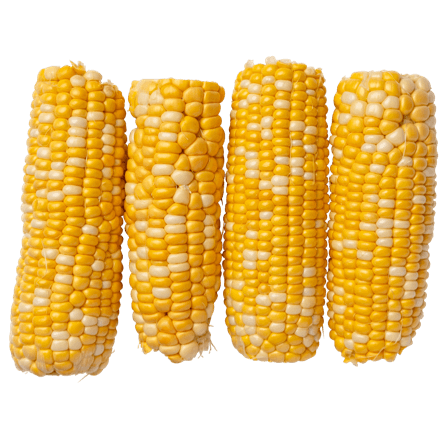 food-img