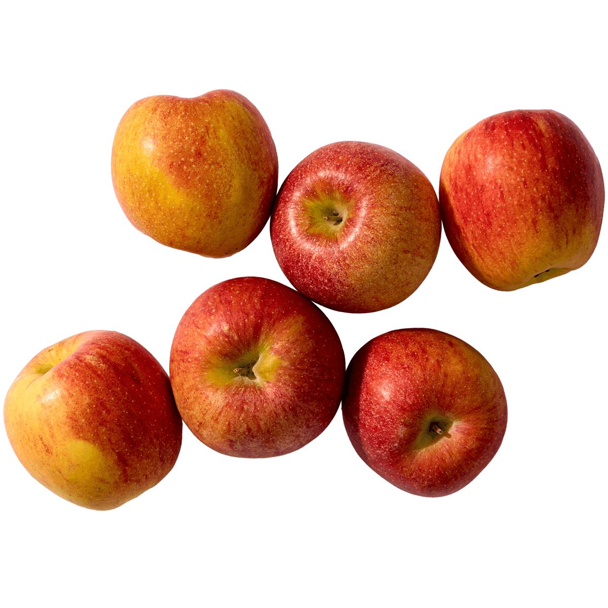 Envy Apples 2 of 2