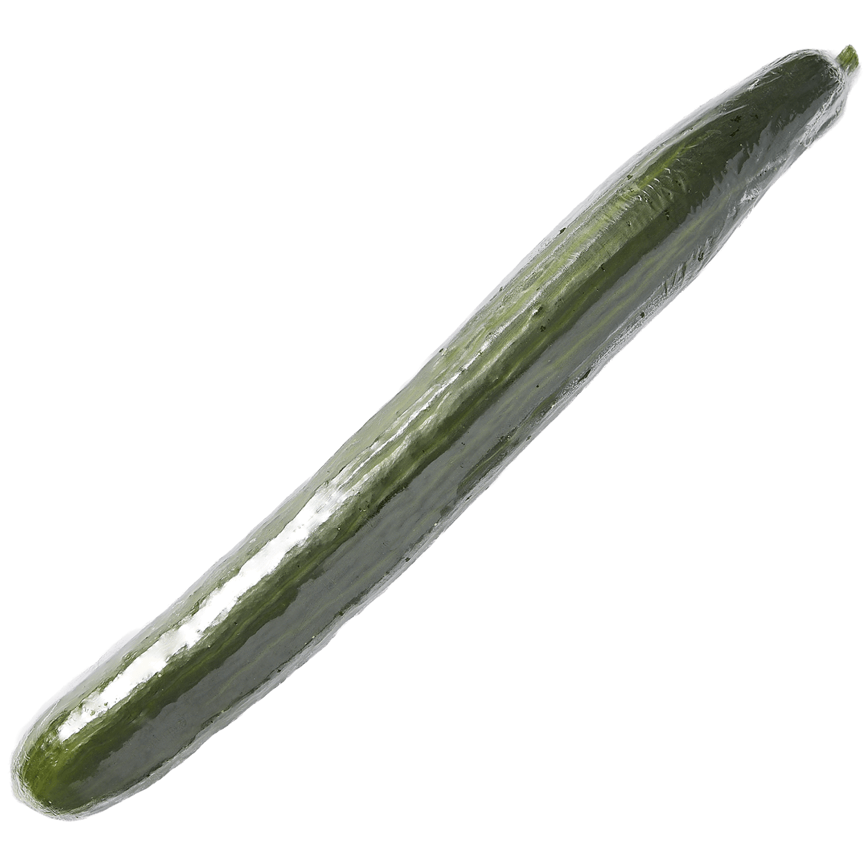 English Cucumber 2 of 2