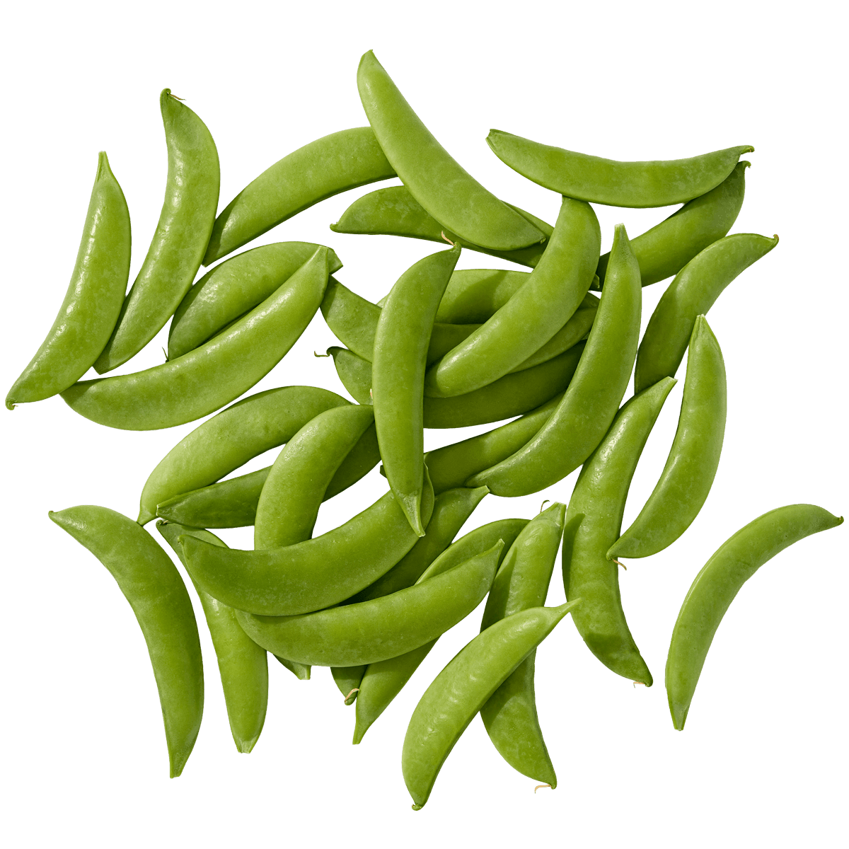 Pea Snaps 2 of 2
