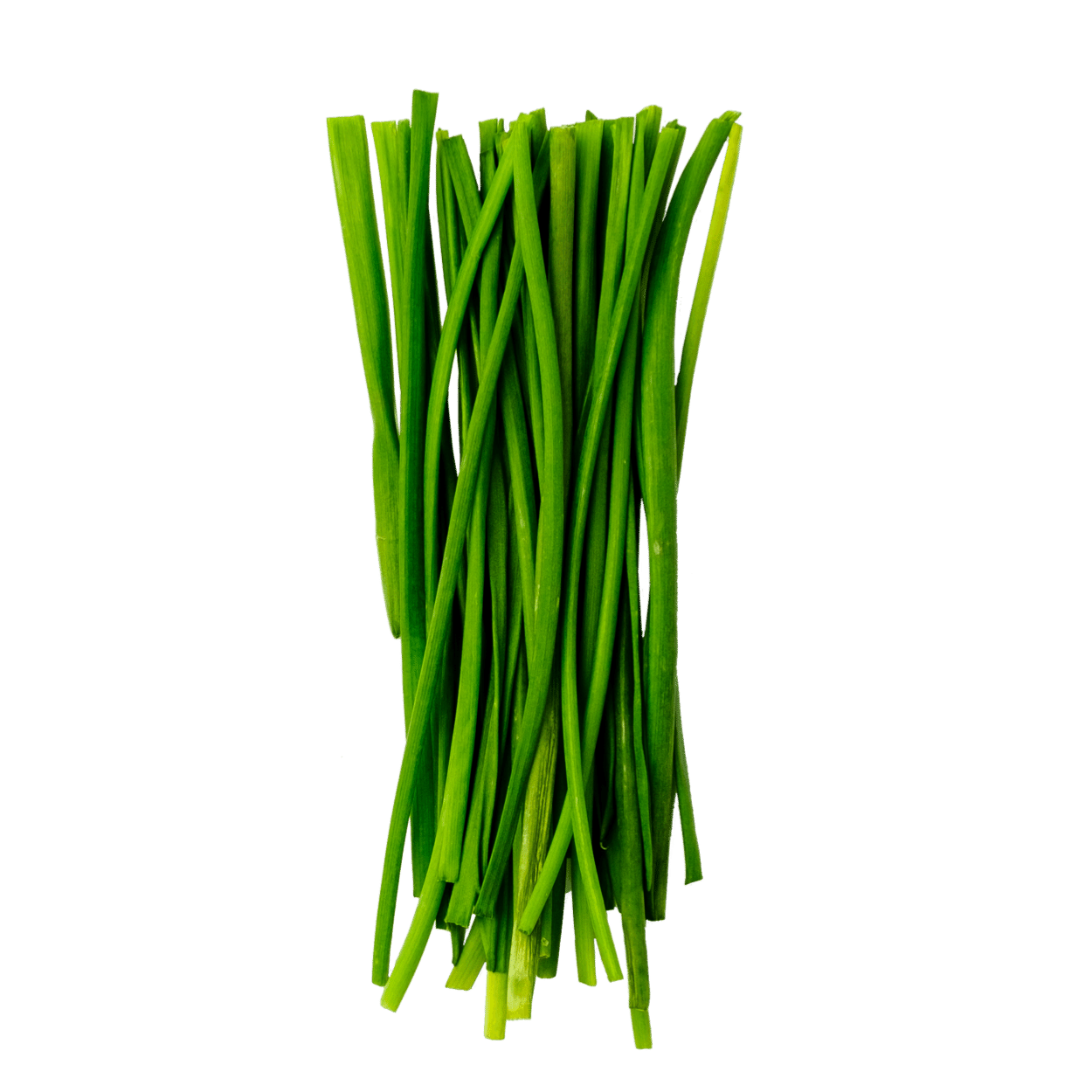 Fresh Chives 2 of 2