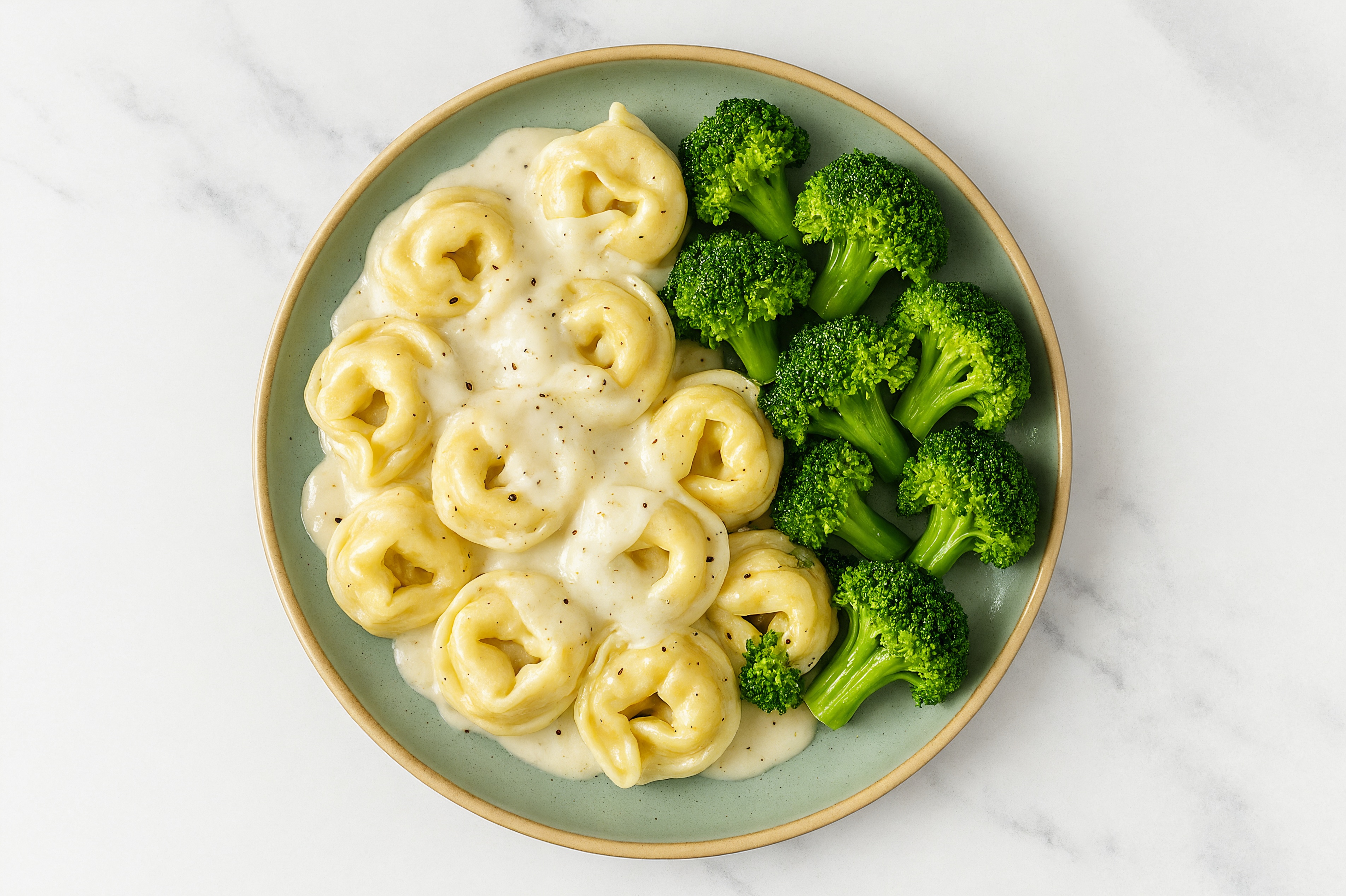 Creamy Broccoli Tortelloni Alfredo