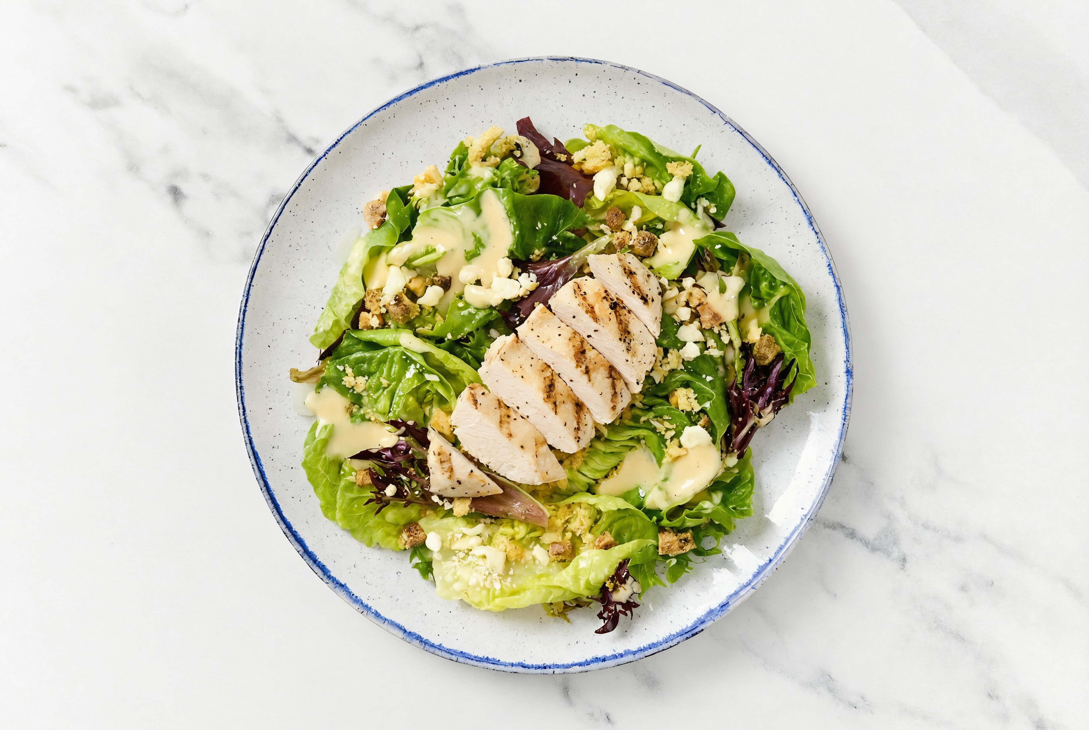 5-Minute Seasoned Grilled Chicken Breast Little Champagne Kit Gem Salad