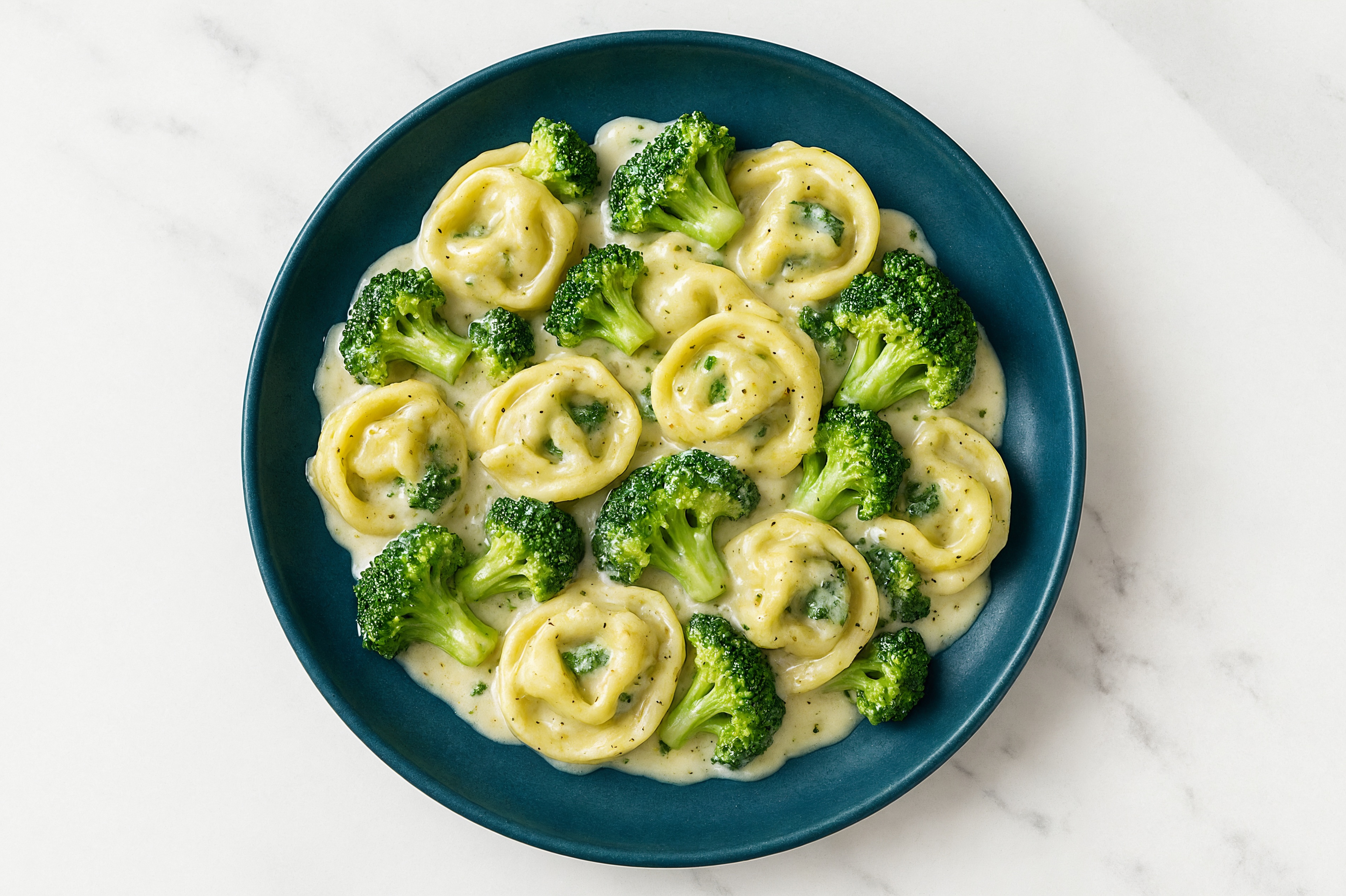 Alfredo Tortellini with Broccoli