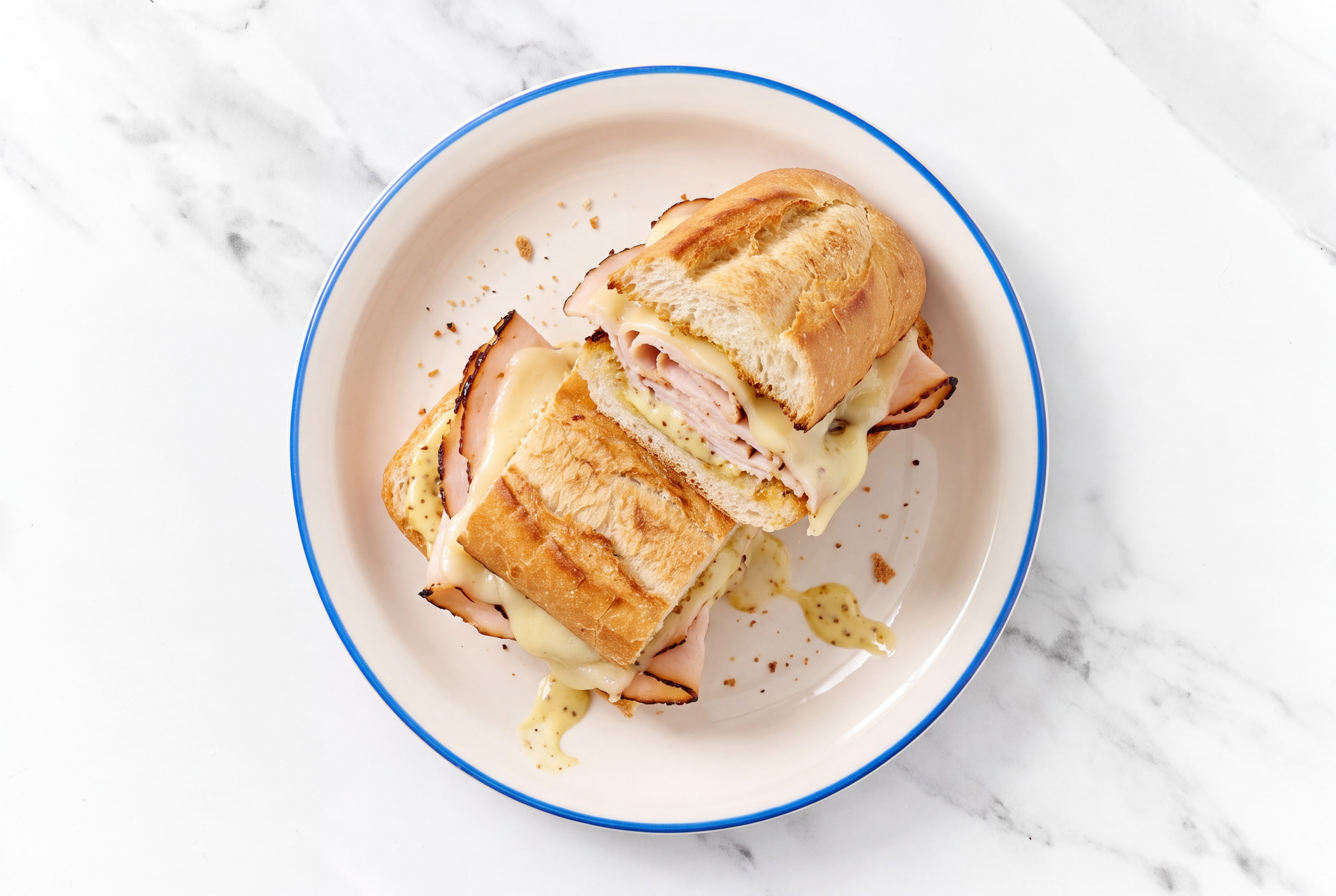 Oven Roasted Turkey Breast and Havarti on a Baguette with Honey Mustard Garlic Sauce