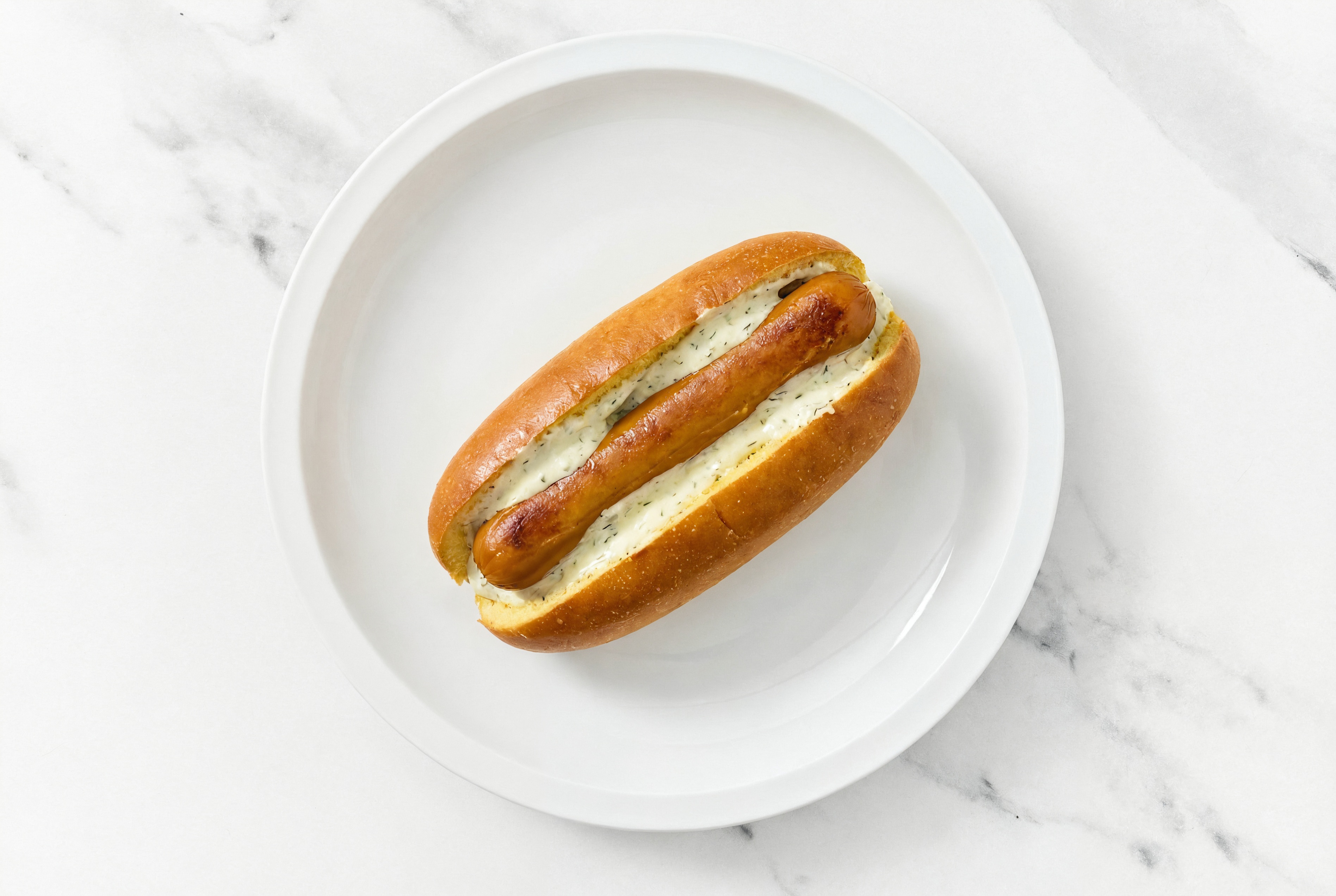 Smart Dog with Garlic Sauce on Brioche