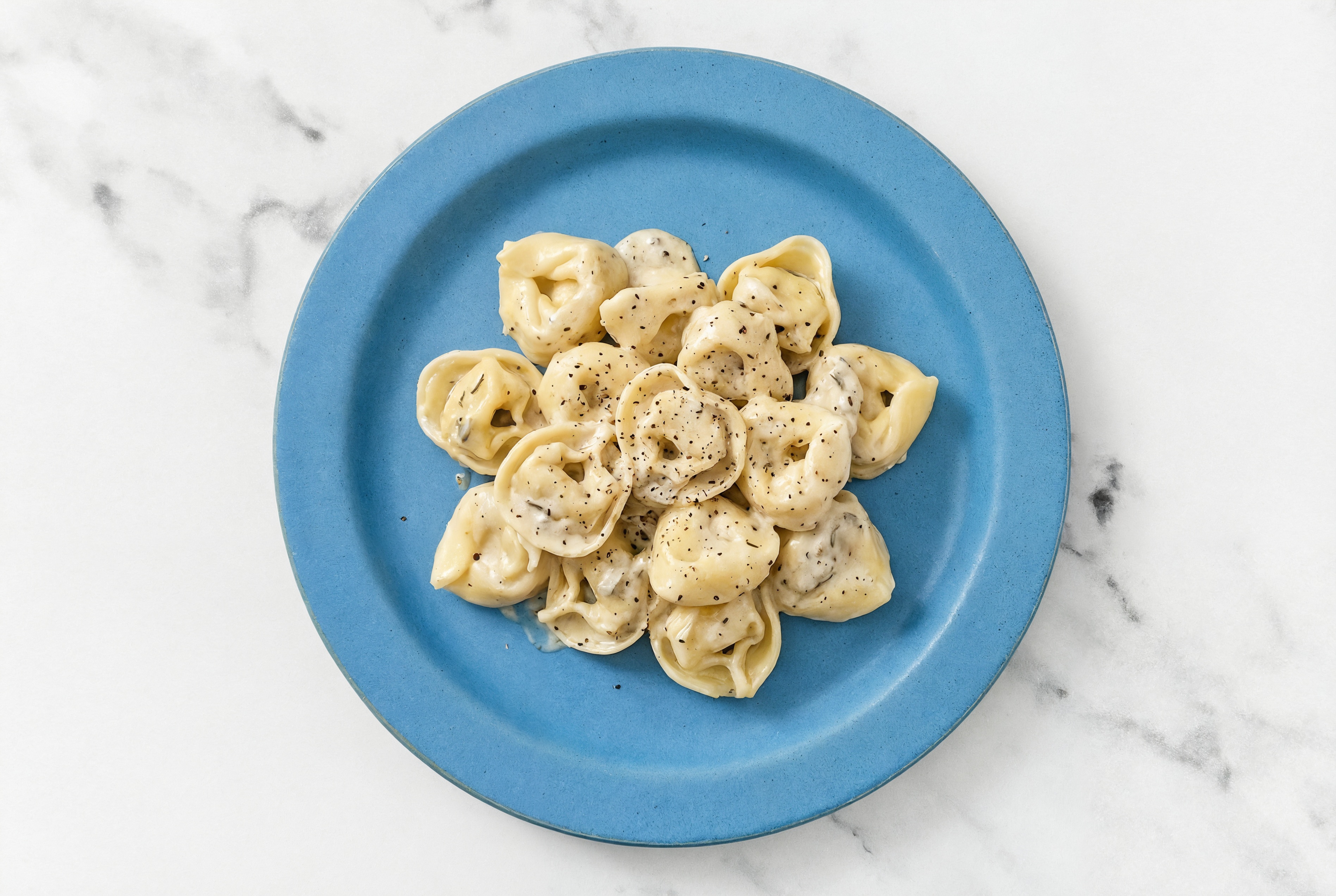 Cheese Tortelloni in Truffle