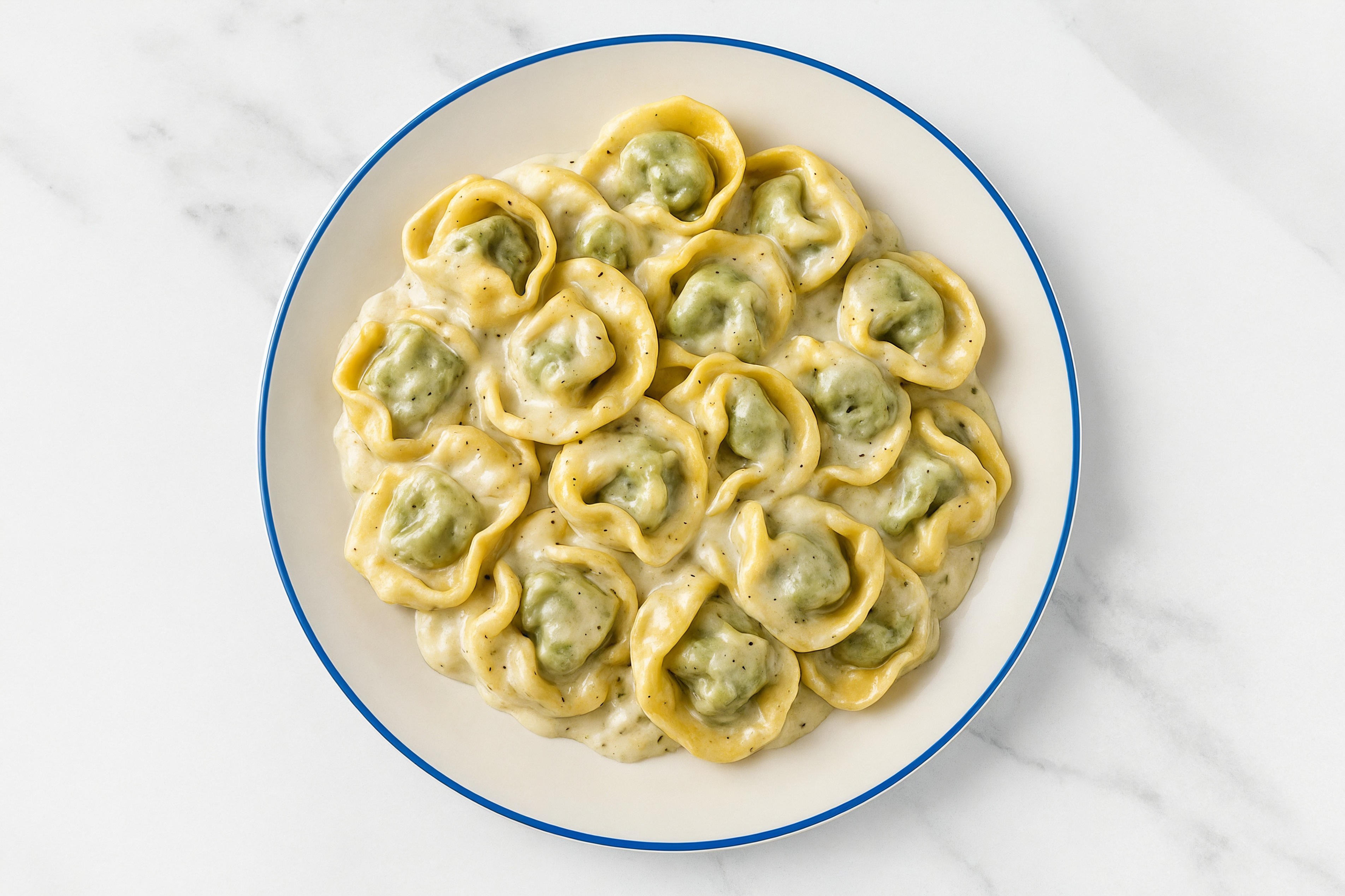Cheese Tortellini in Alfredo Sauce