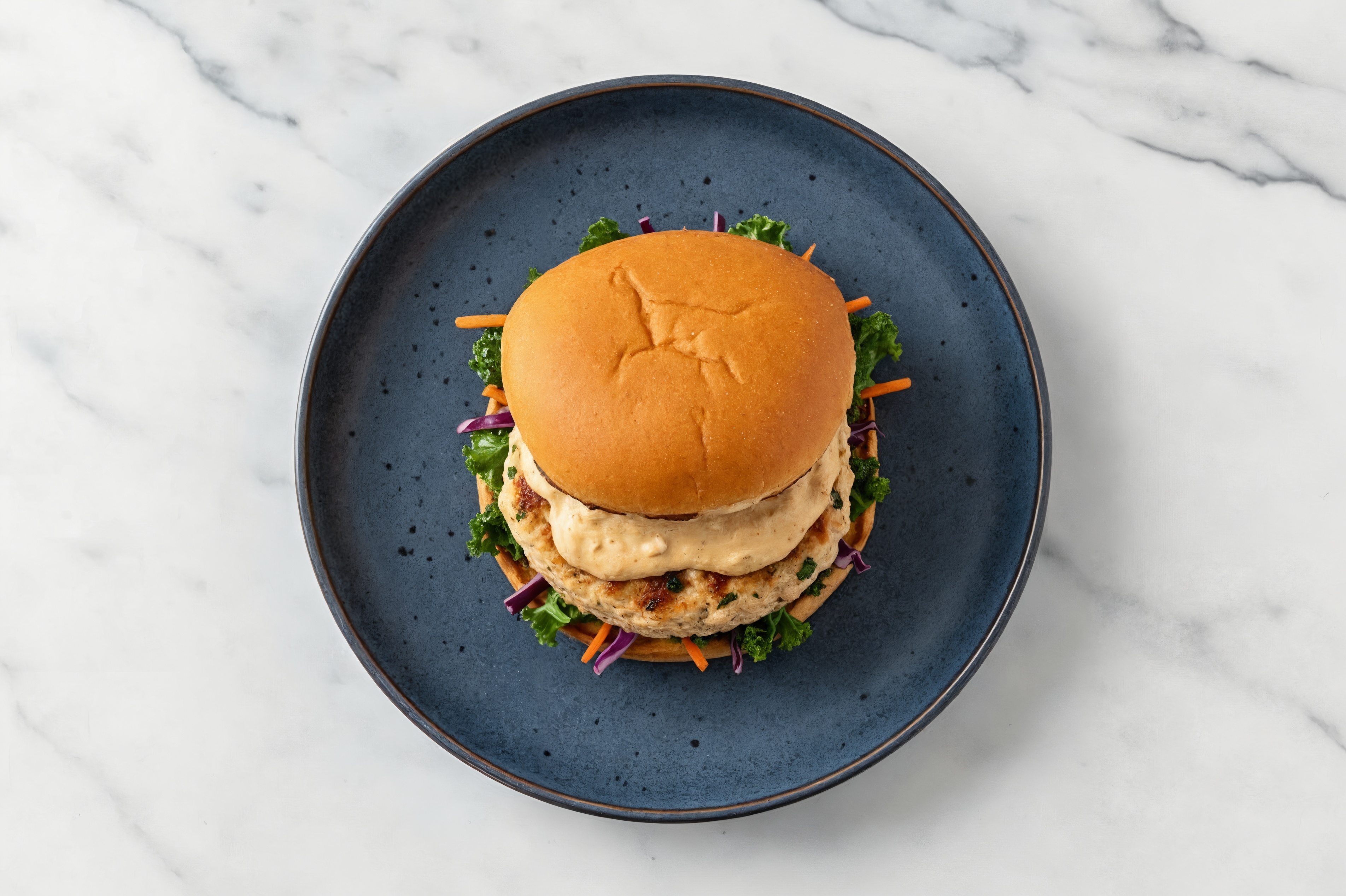 Rainbow Veggie Chicken Burger on GF Bun with French Onion Sauce