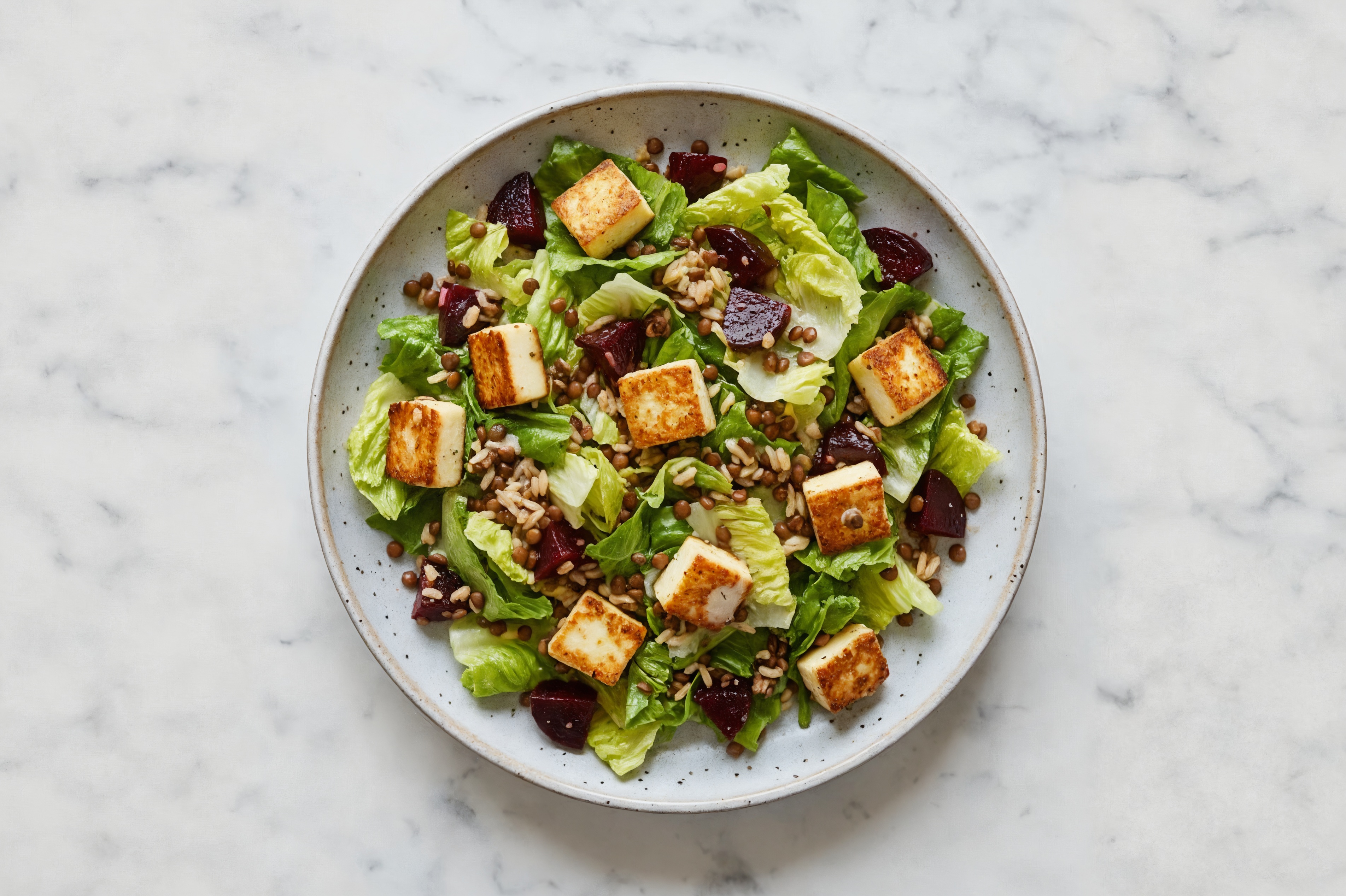 Crispy Soft & Creamy Paneer + Garlic Lemon Rice Salad