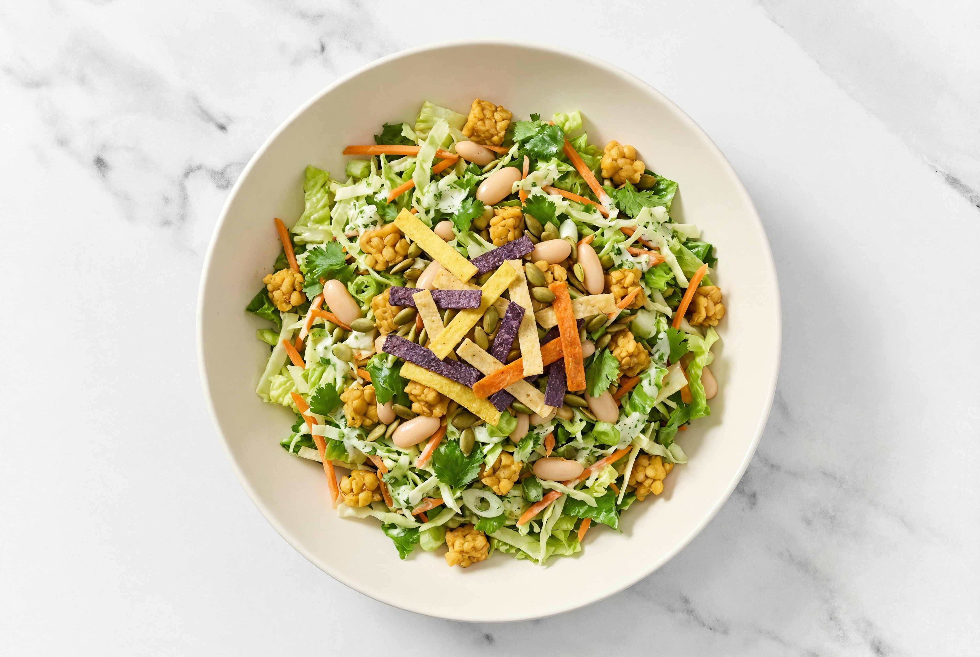 Chickpea Tempeh + Cannellini Bean Southwest Salad