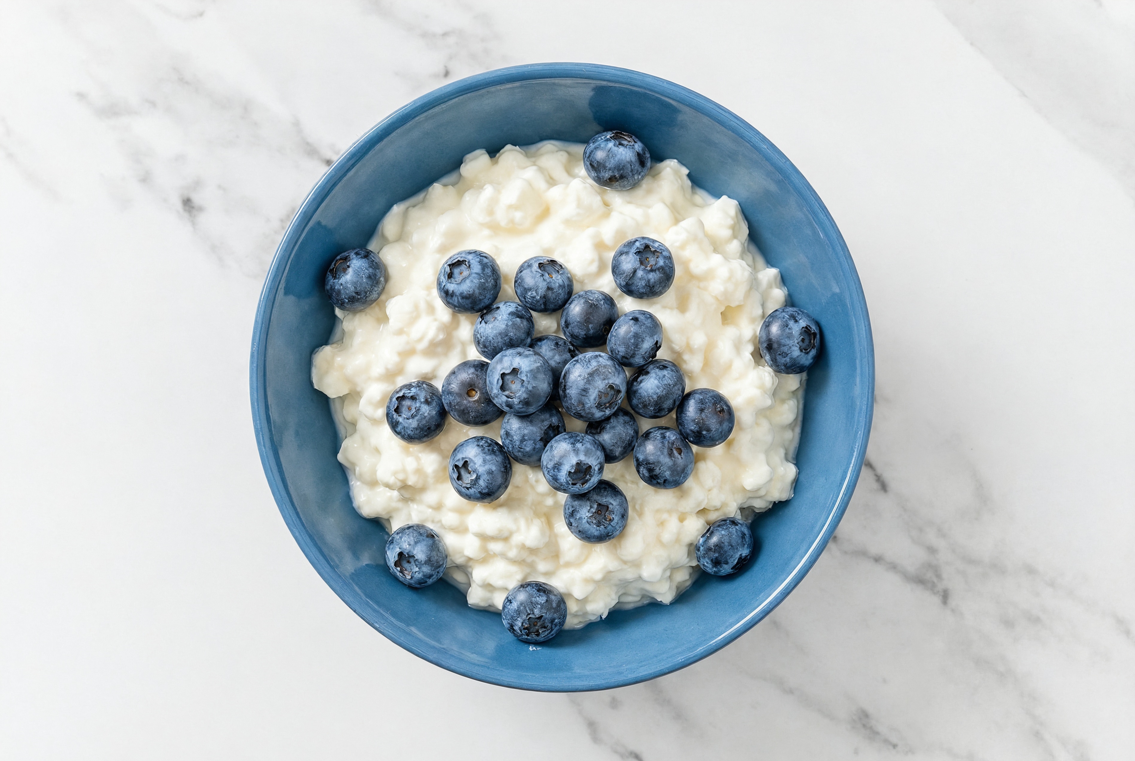 Cottage Cheese + Organic Blueberries
