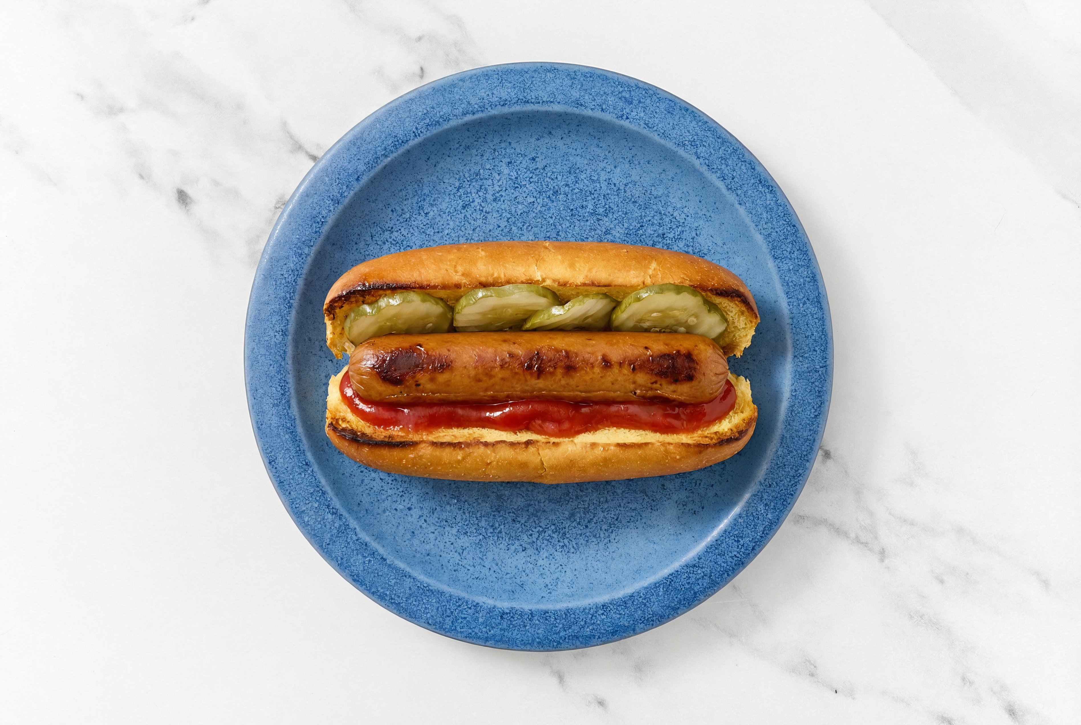 Pickle Smart Dog with Ketchup on Brioche