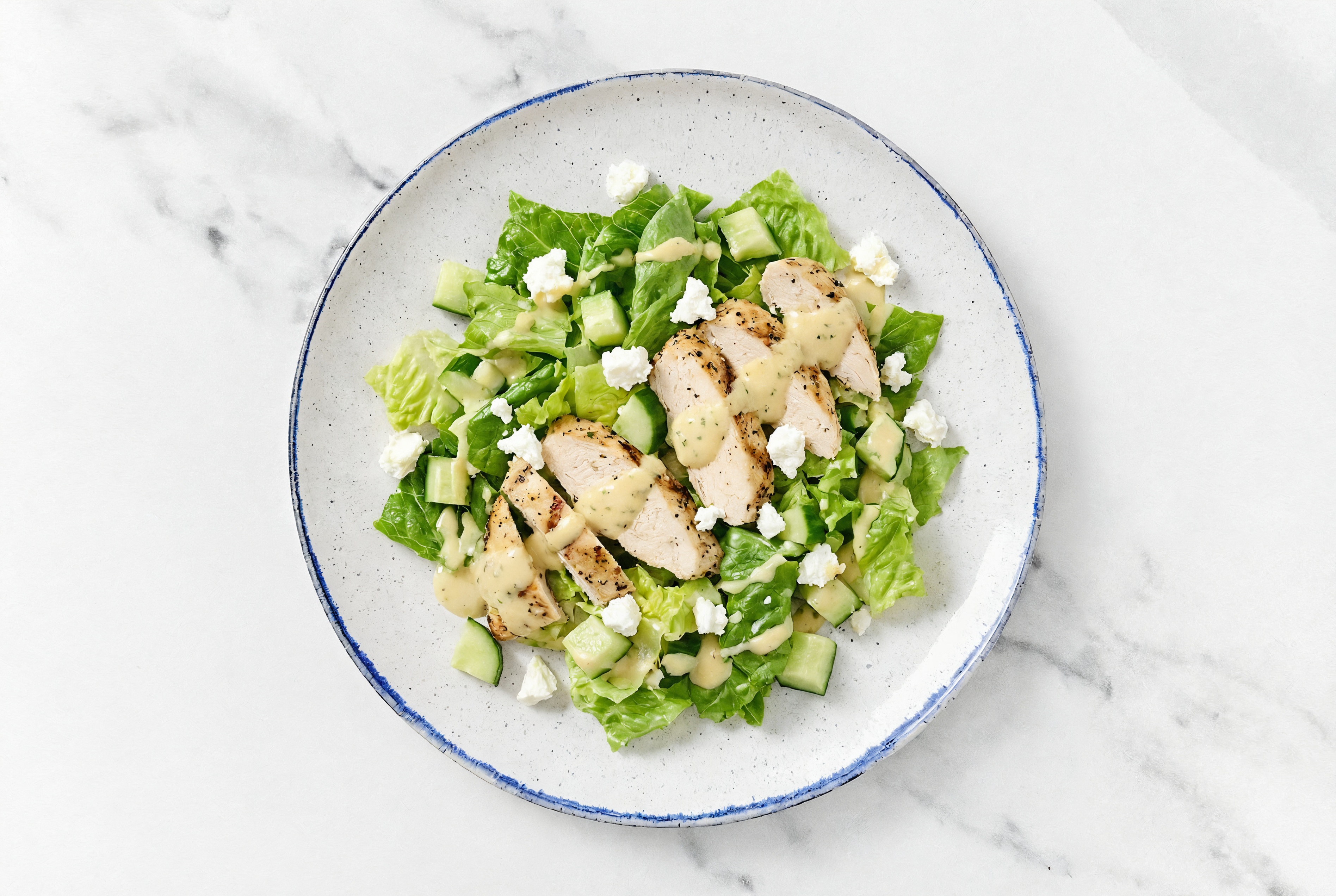  Grilled Seasoned Chicken Breast Greek Salad