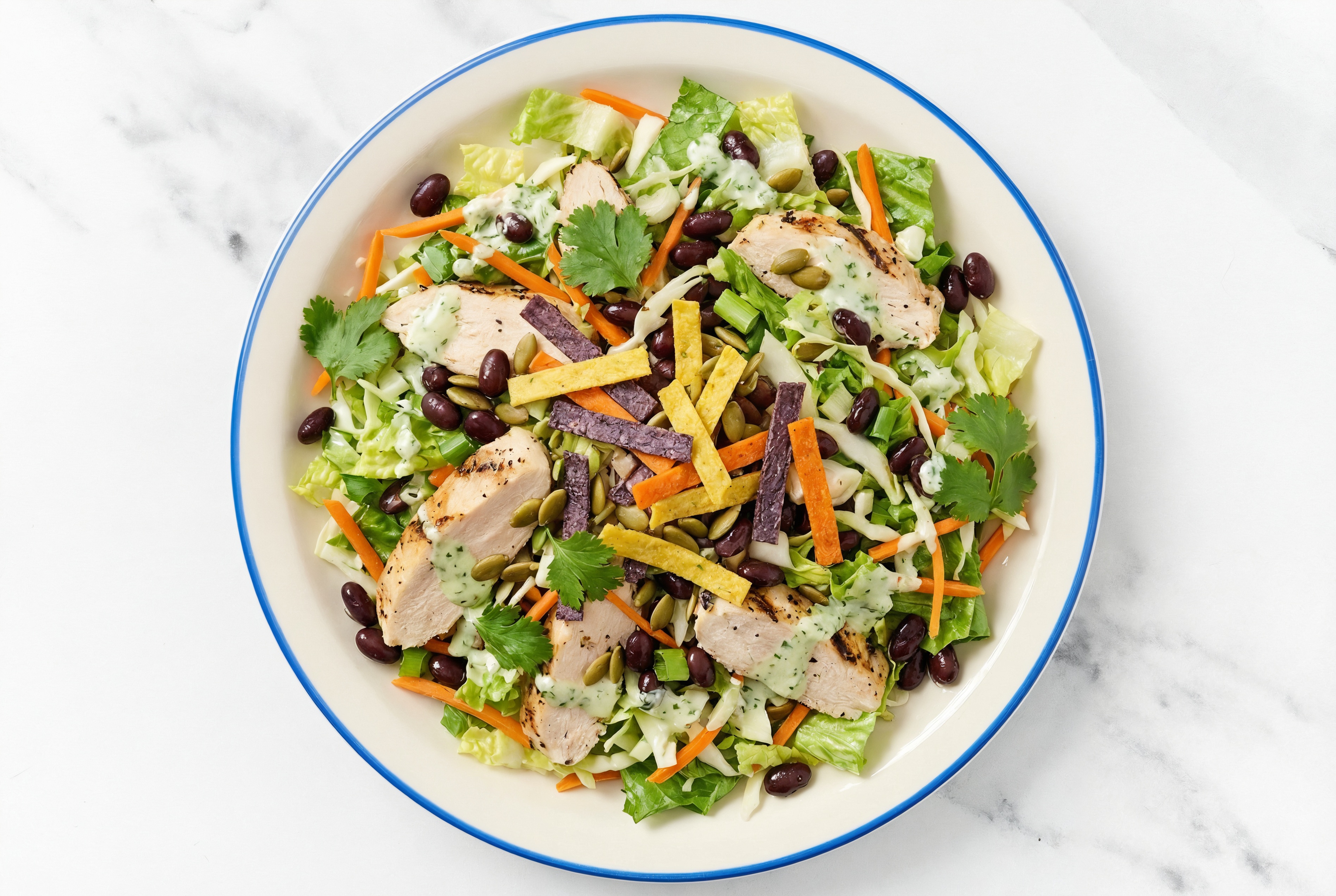 Southwest Chicken Salad with Organic Black Bean Beans