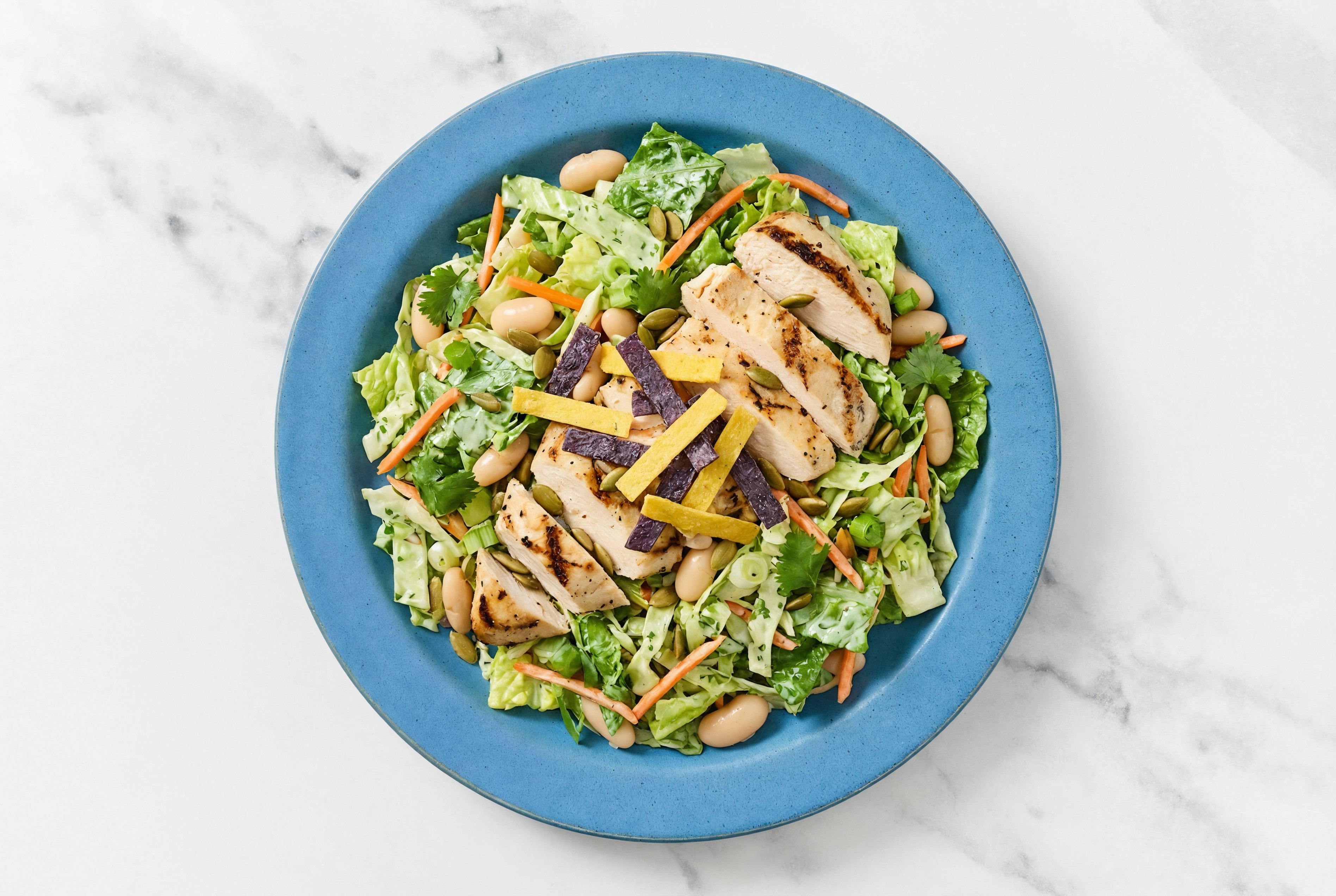 Grilled Chicken + Cannellini Bean Southwest Salad