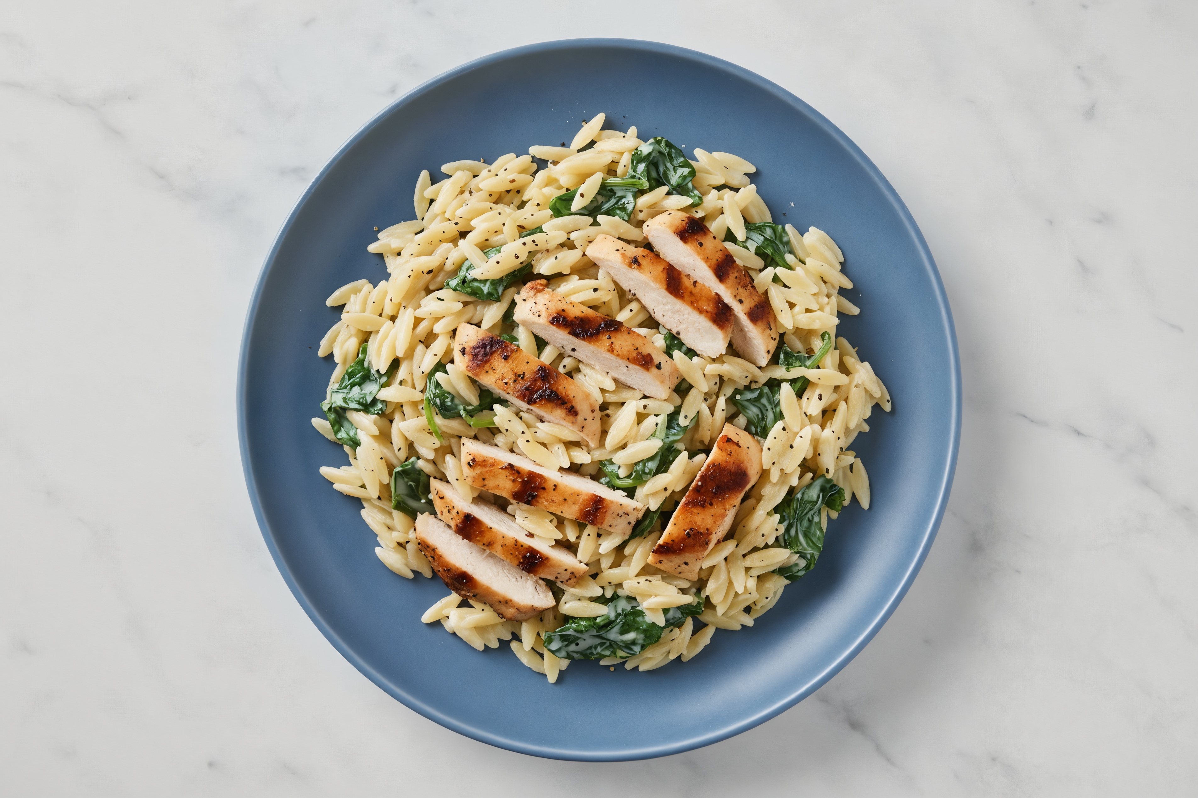  Grilled Seasoned Chicken Breast Orzo Alfredo