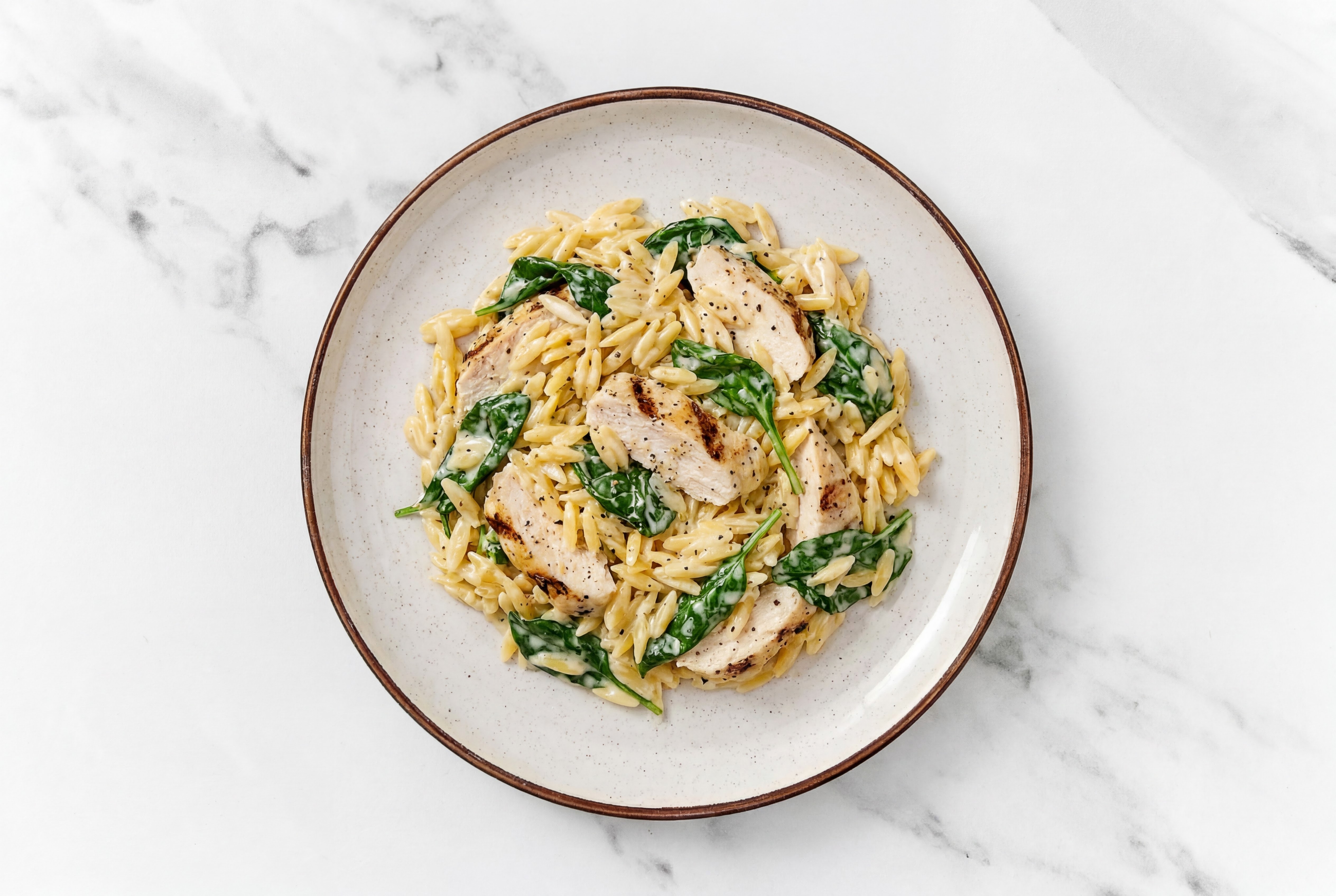 Grilled Seasoned Chicken Breast Orzo Alfredo