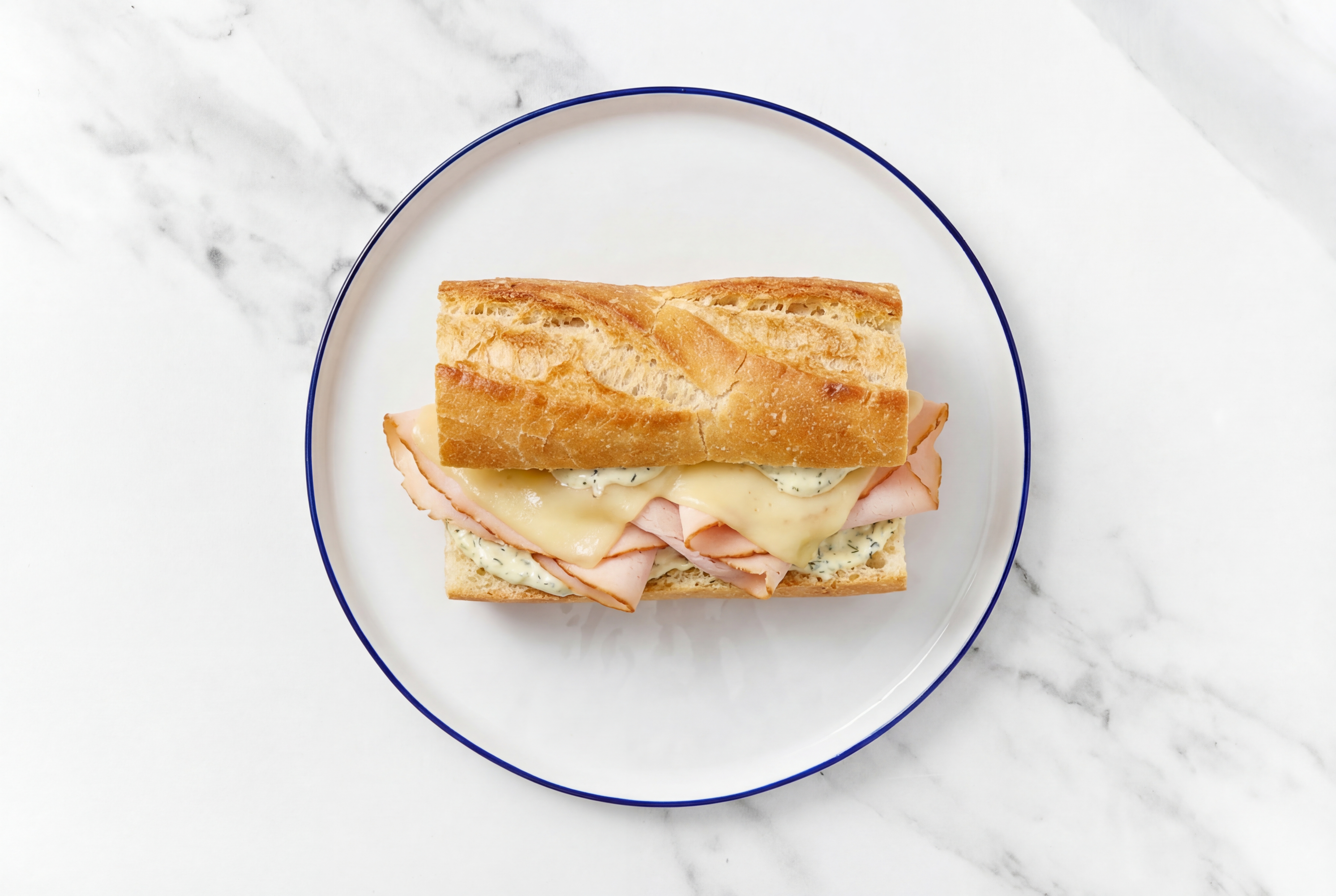 Honey Roasted Turkey Breast Sliced + Havarti on Baguette with Dill Pickle Garlic Sauce