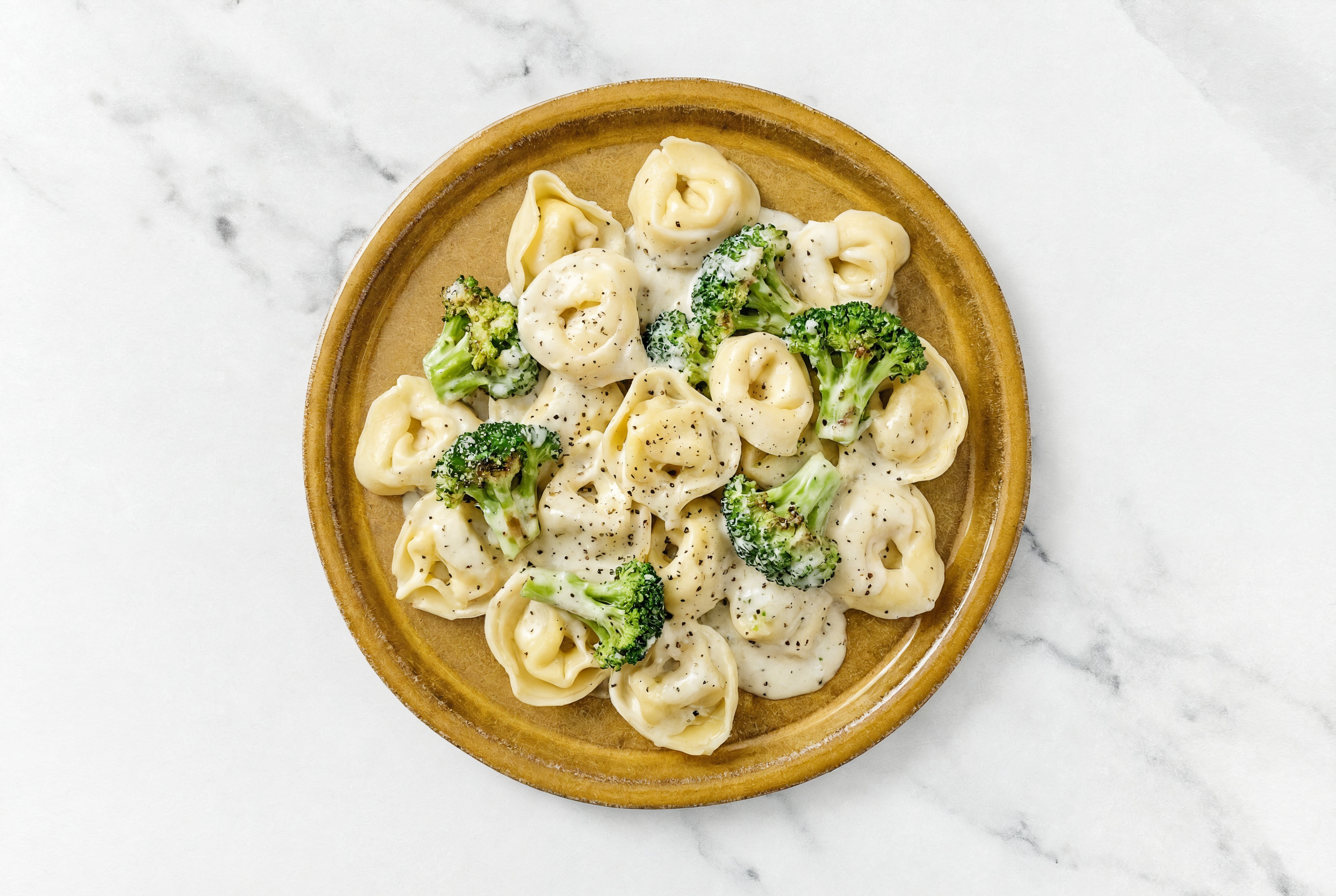 Alfredo Tortelloni with Broccoli
