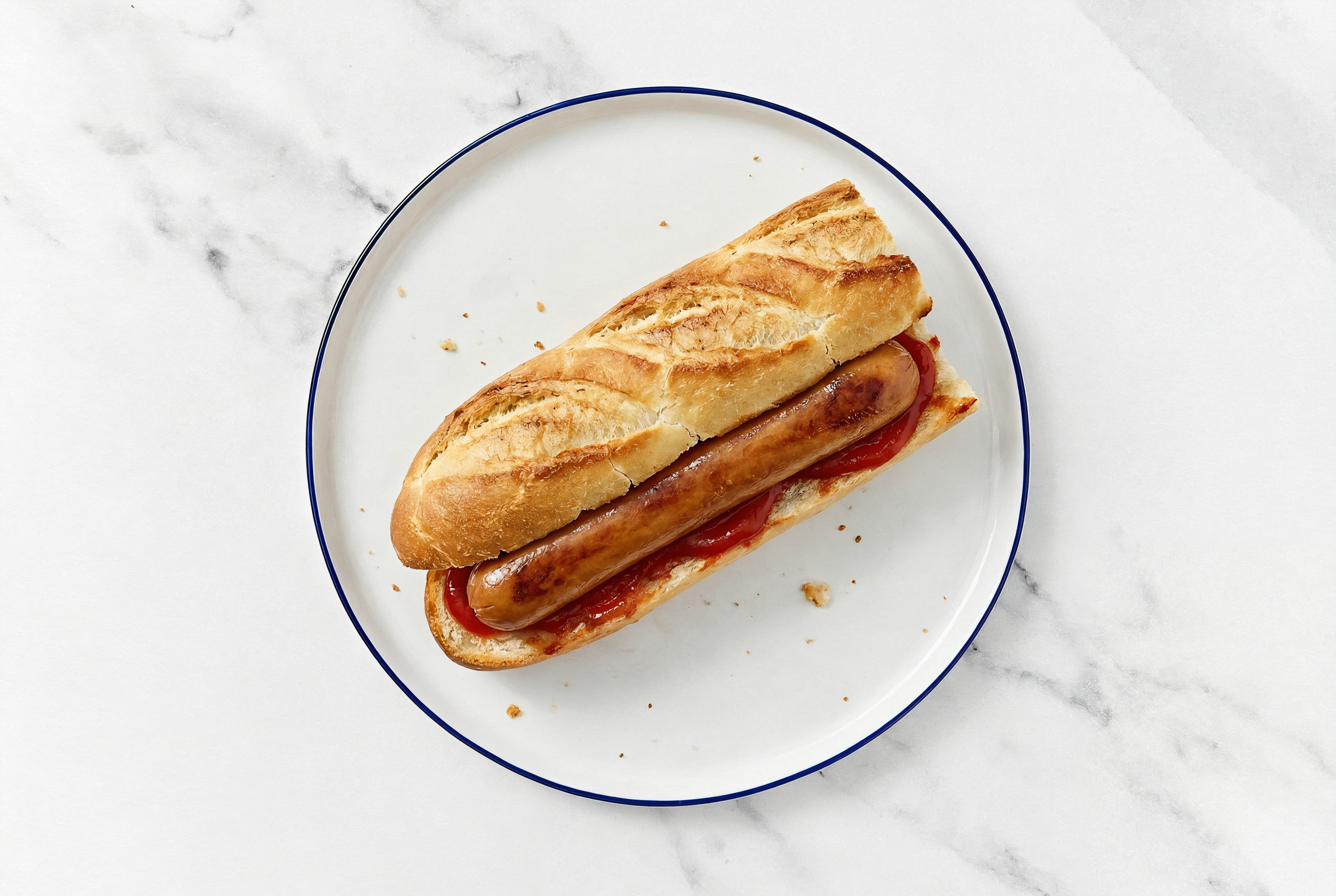 Smart Dog with Ketchup on Baguette