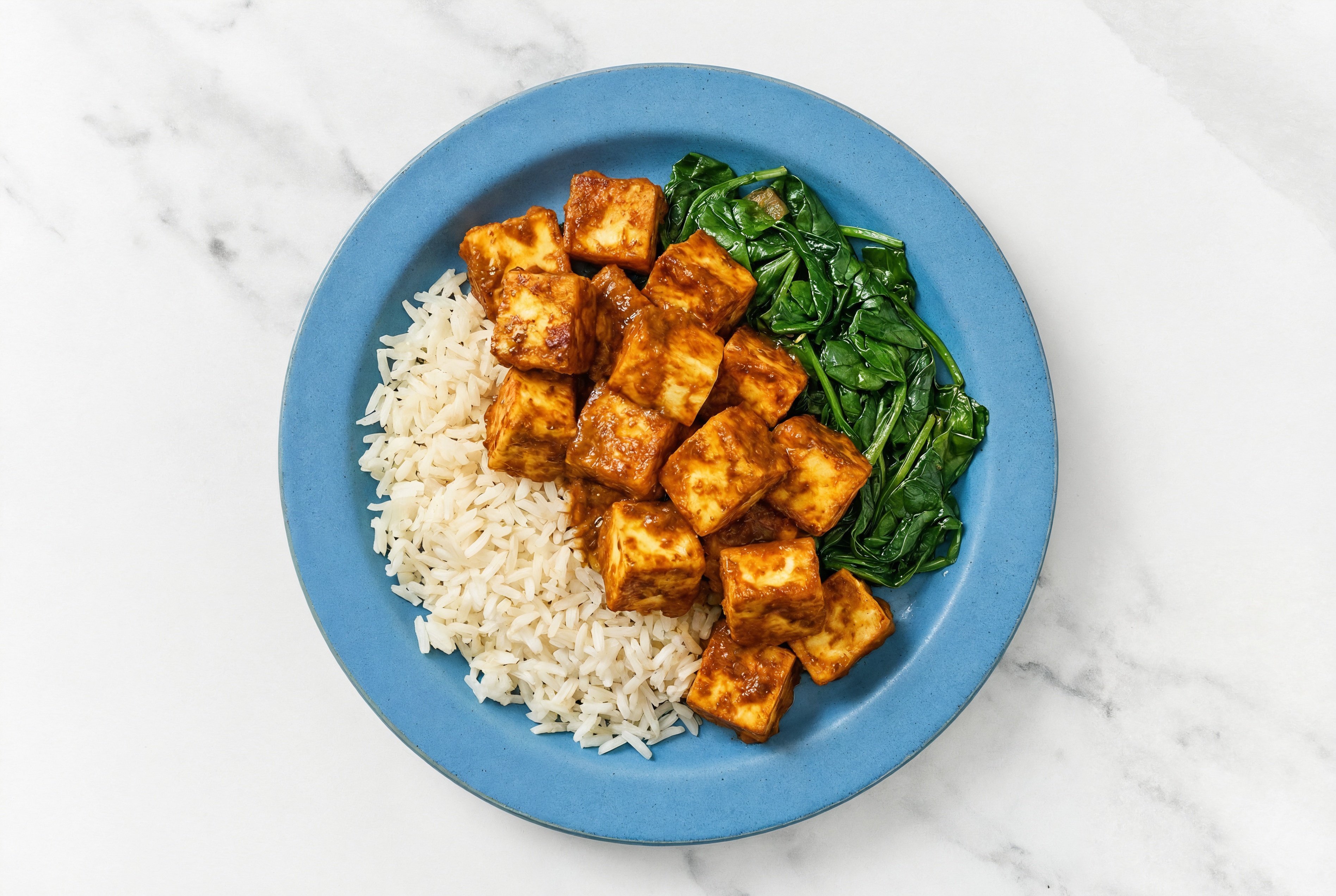Tandoori Paneer with Rice + Baby Spinach