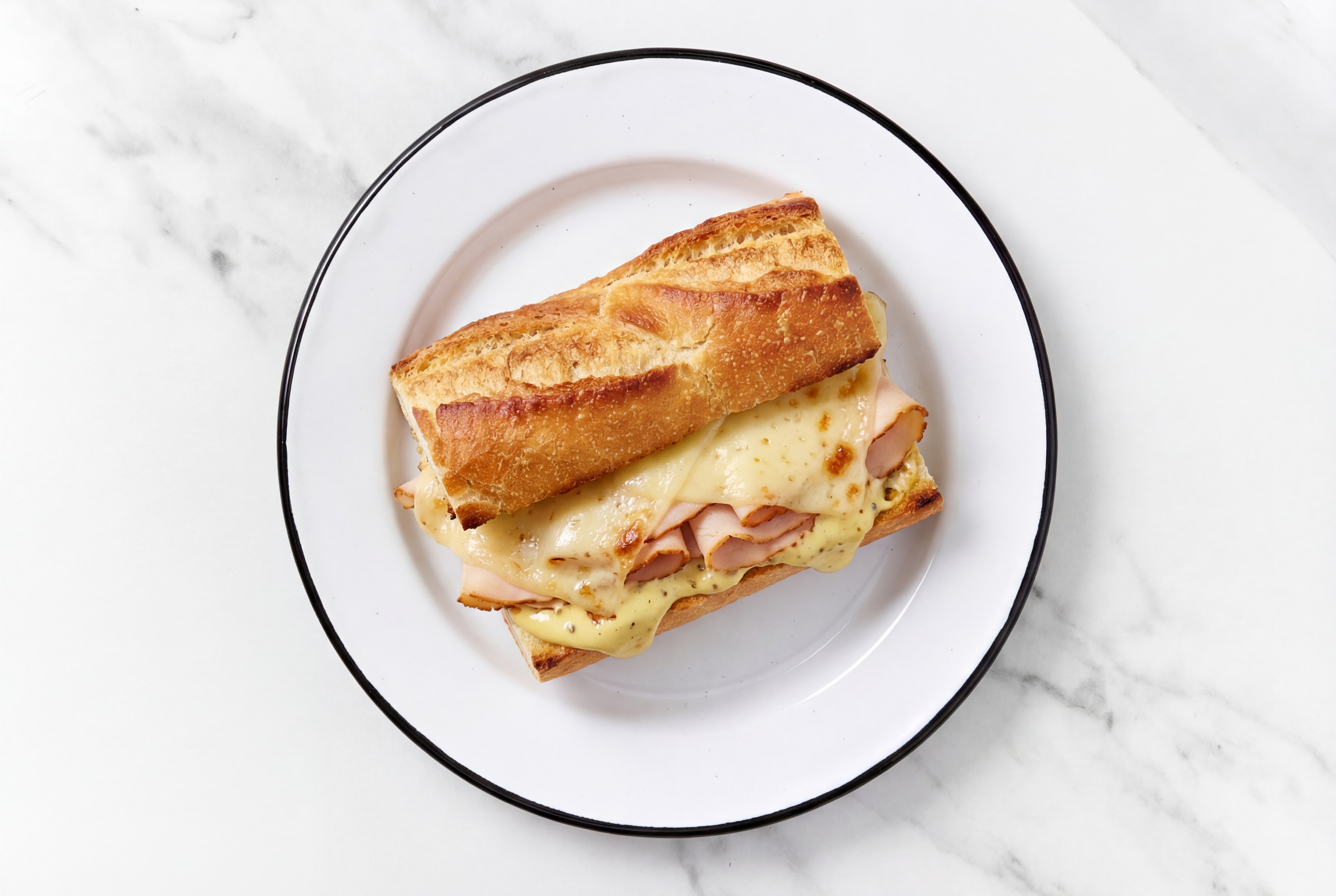 Roasted Turkey Breast Sliced and Havarti on a Baguette with Honey Mustard Garlic Sauce