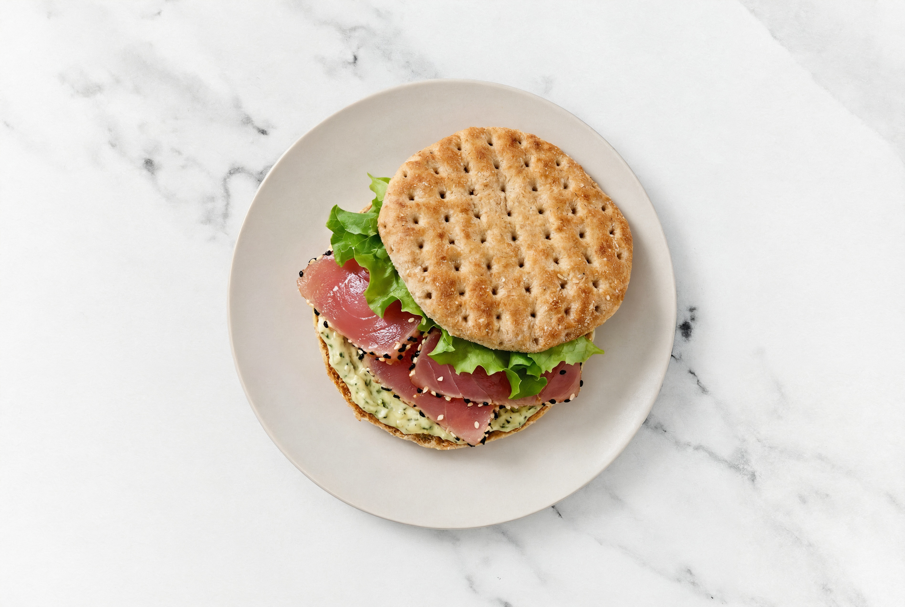 Spinach Artichoke + Tuna Sandwich