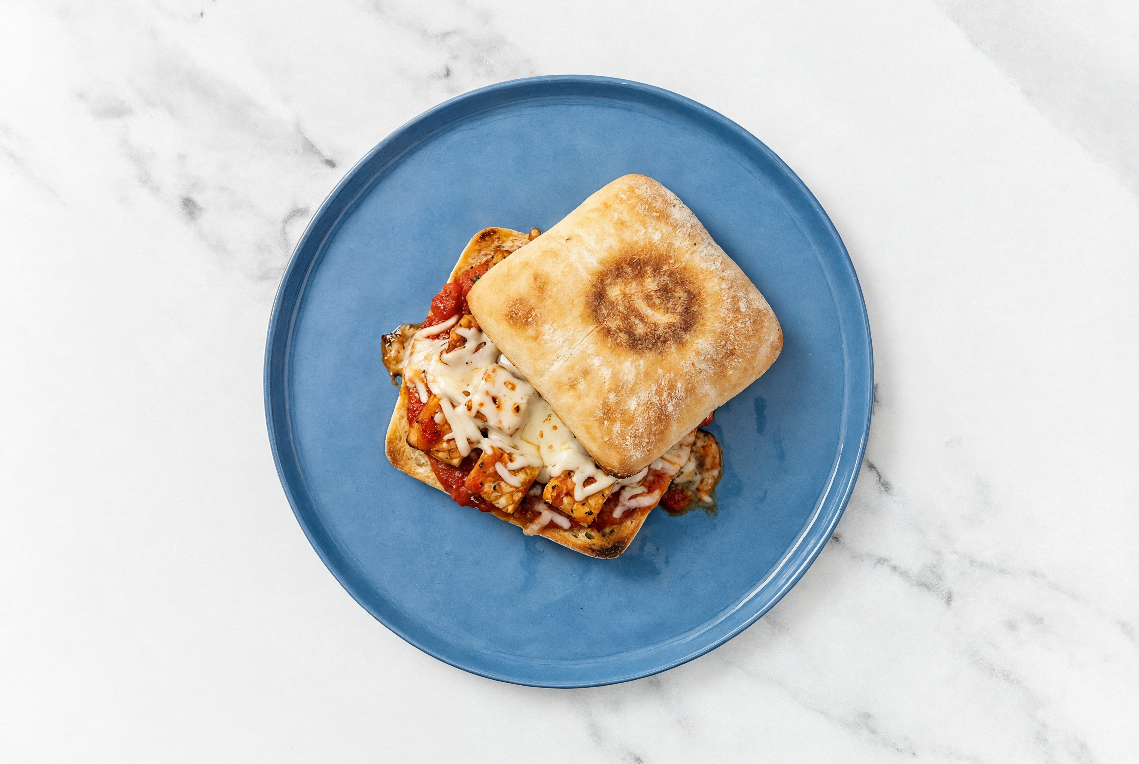 Tempeh Marinara Sandwich