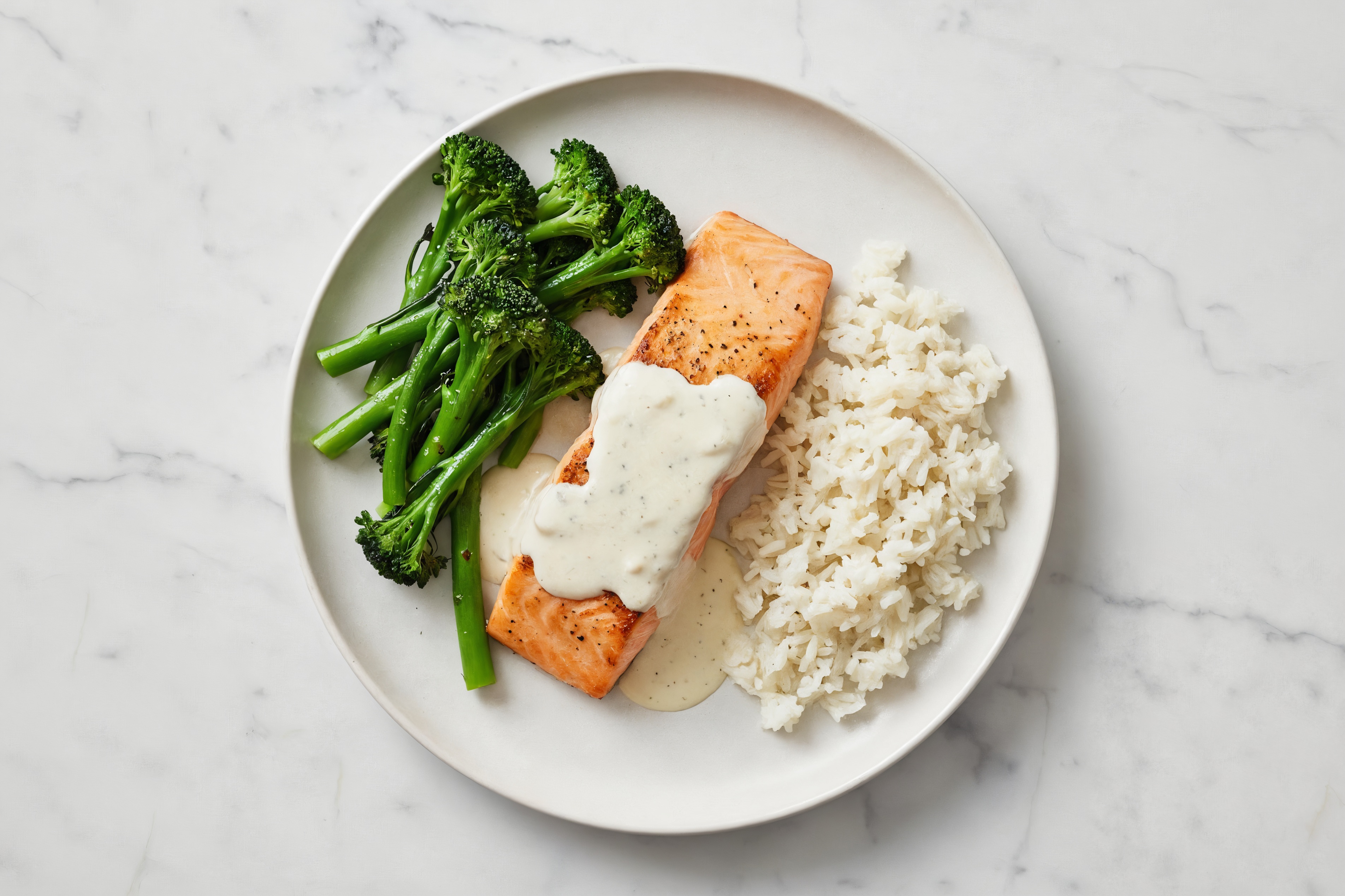 Creamy Alfredo Salmon + Baby Broccoli with Long Grain White Rice