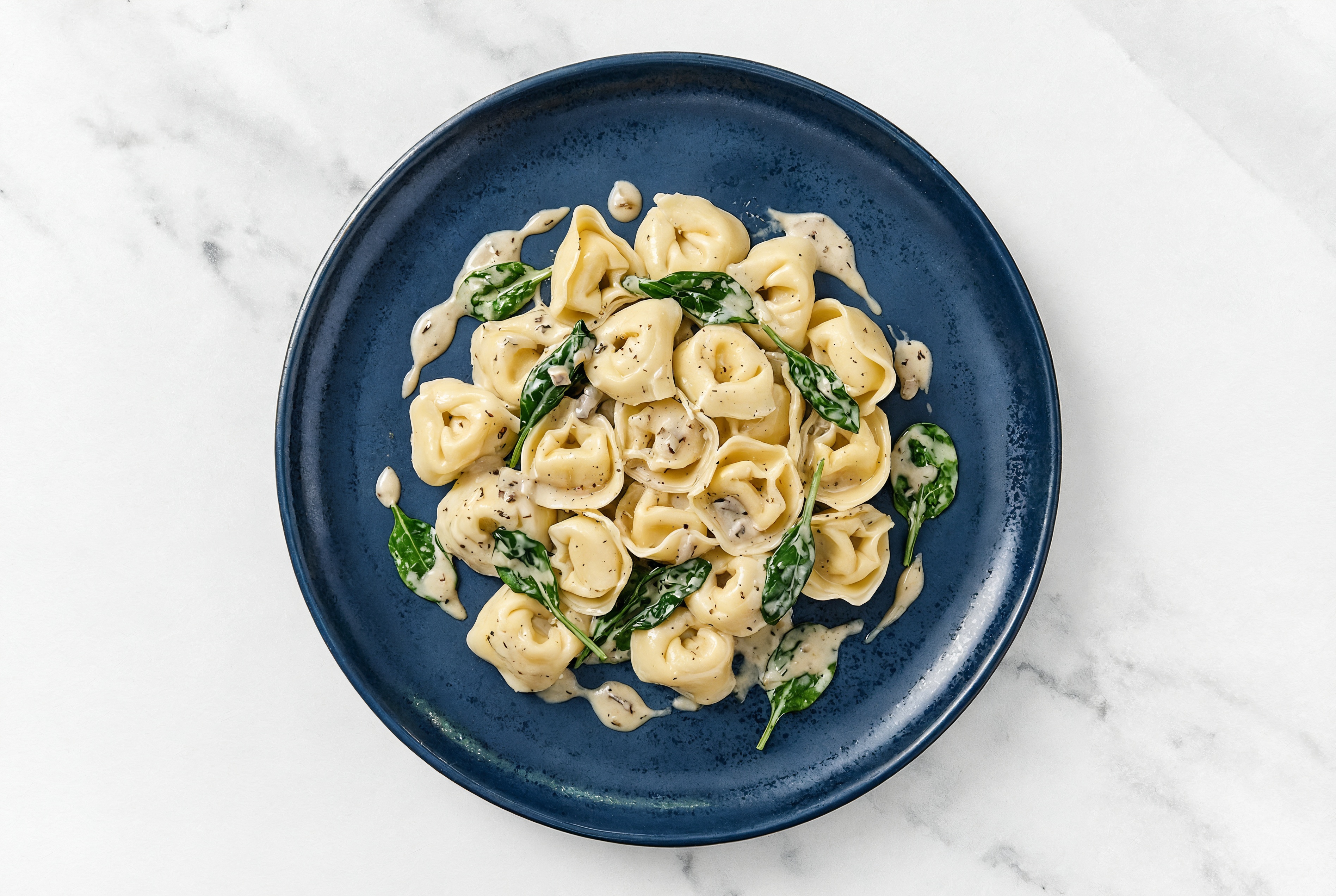 Cheese Tortelloni + Spinach Truffle