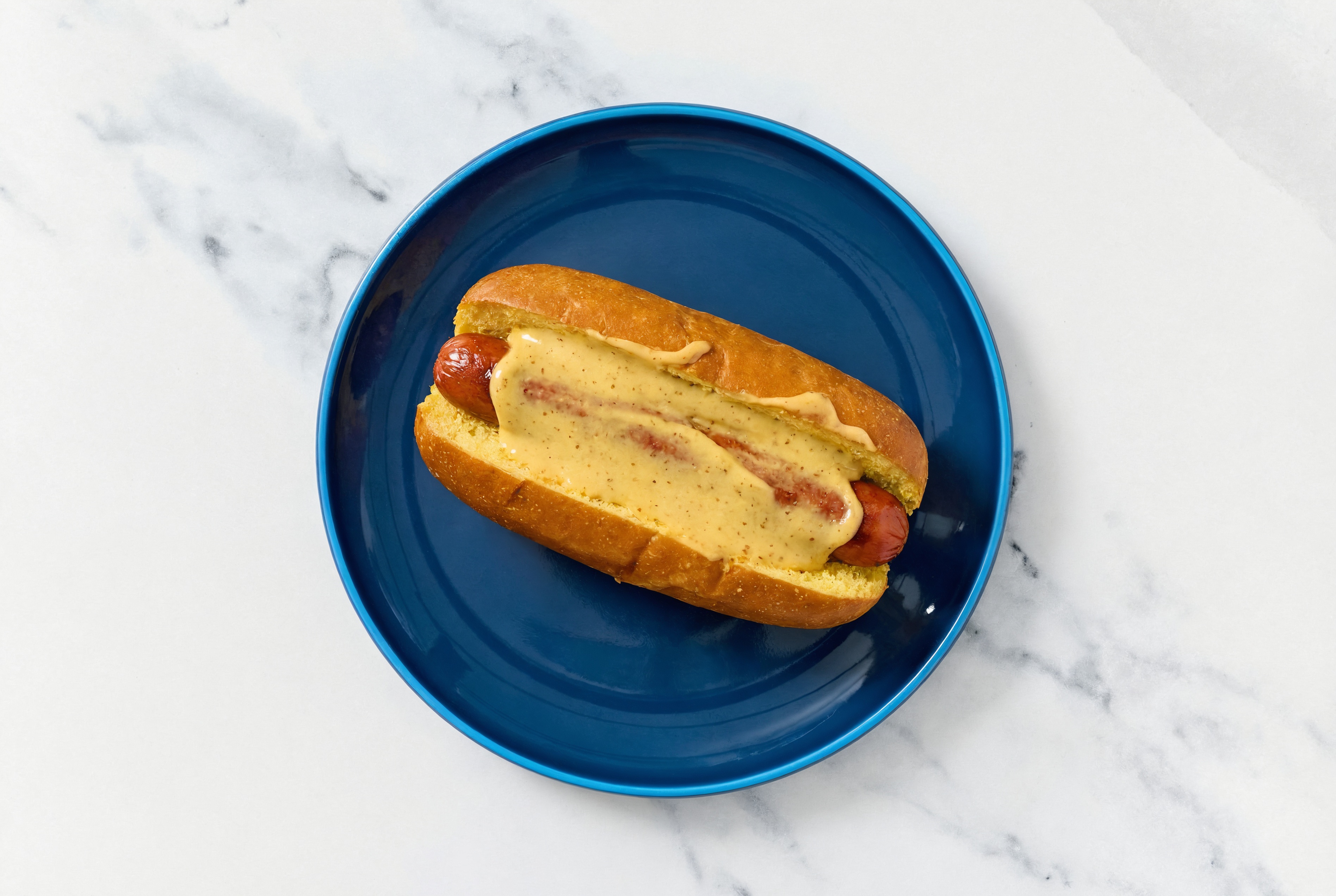 Beef Hot Dog with Honey Mustard on Brioche