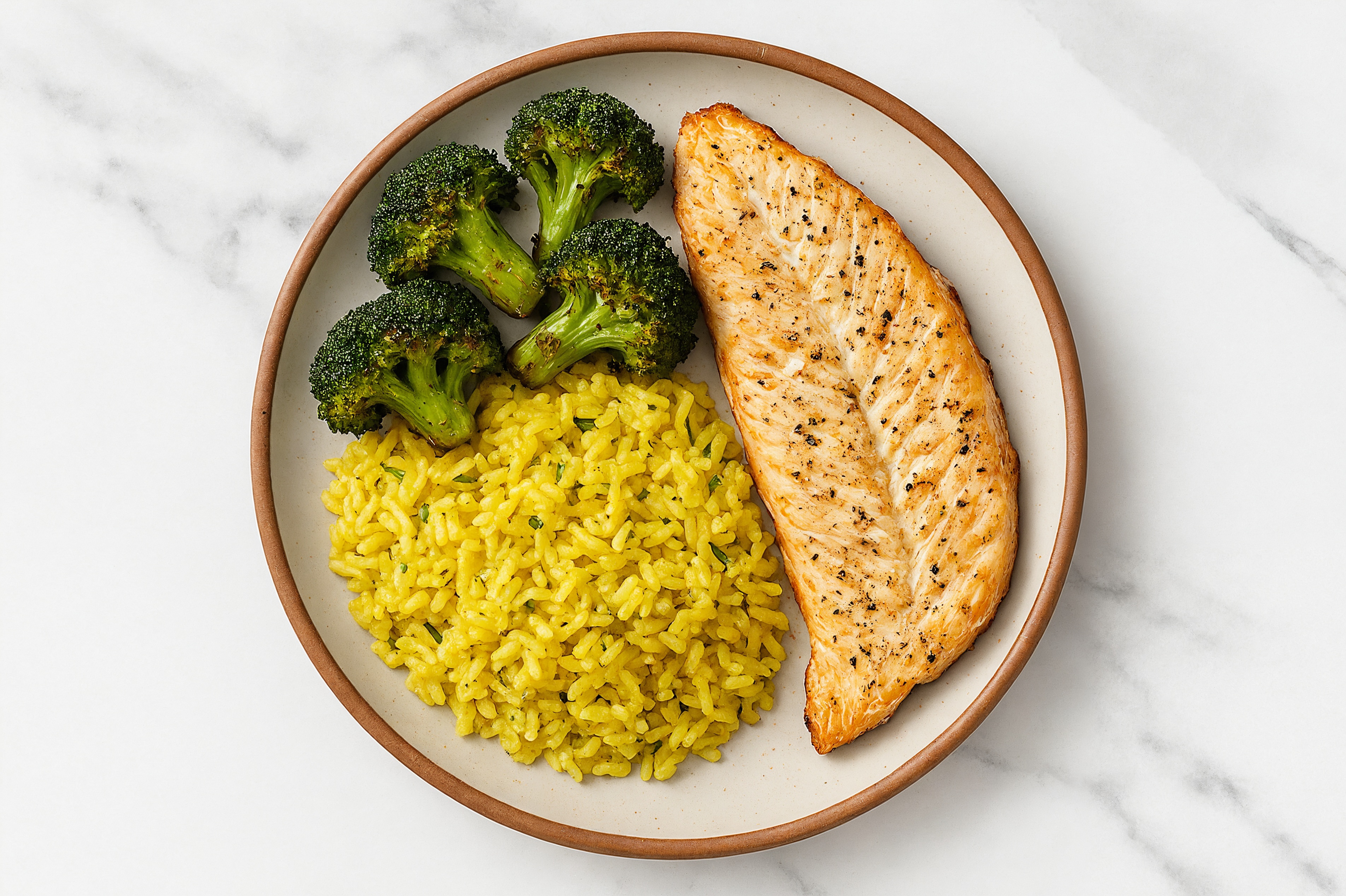Garlic Oven Roasted Steelhead Trout with Broccoli with Chicken & Herb Rice