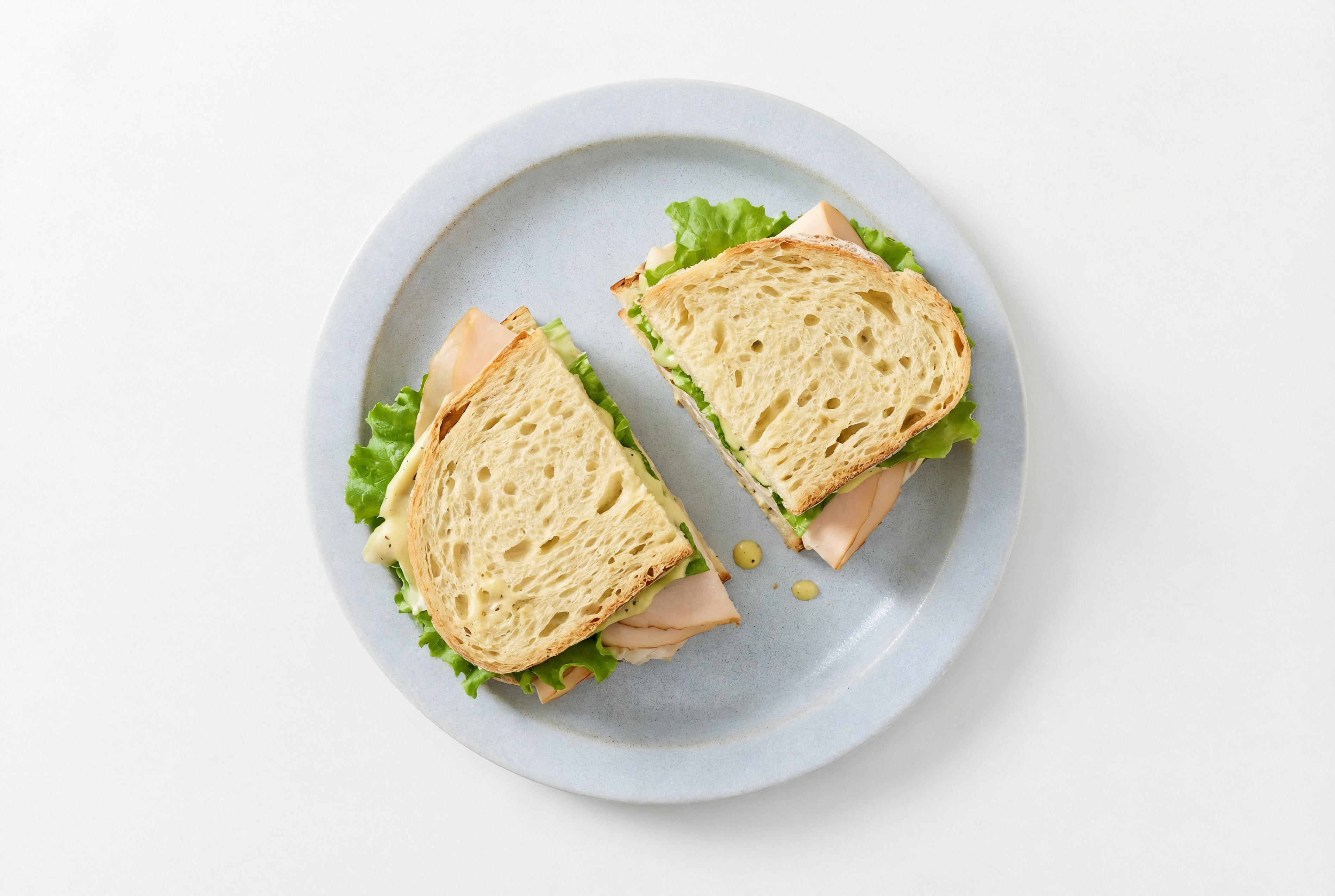 Rustic Roasted Turkey Breast Sliced Sandwich with Potato Bread + Honey Mustard Garlic Sauce