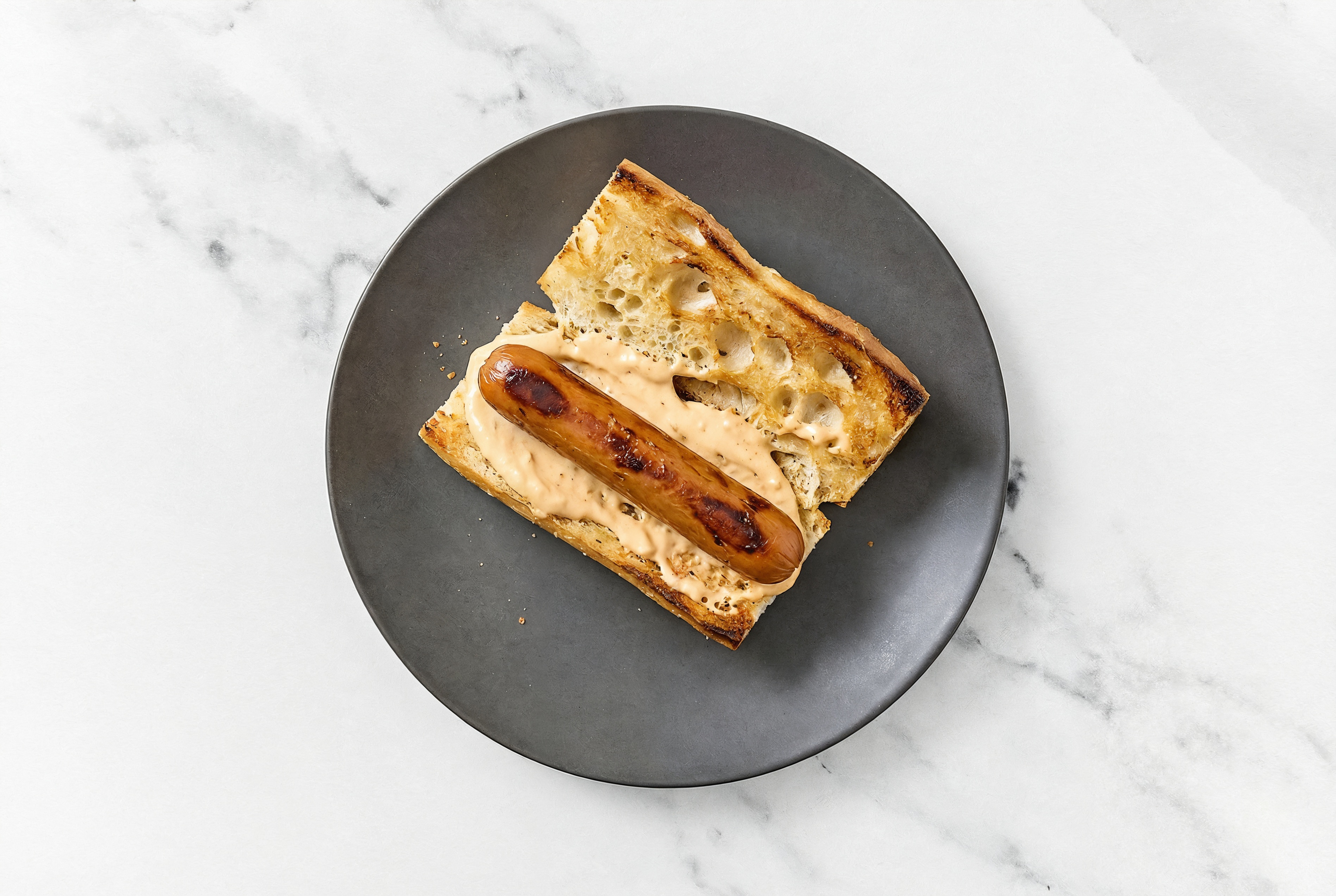 Smart Dog with Awesome Sauce on Baguette